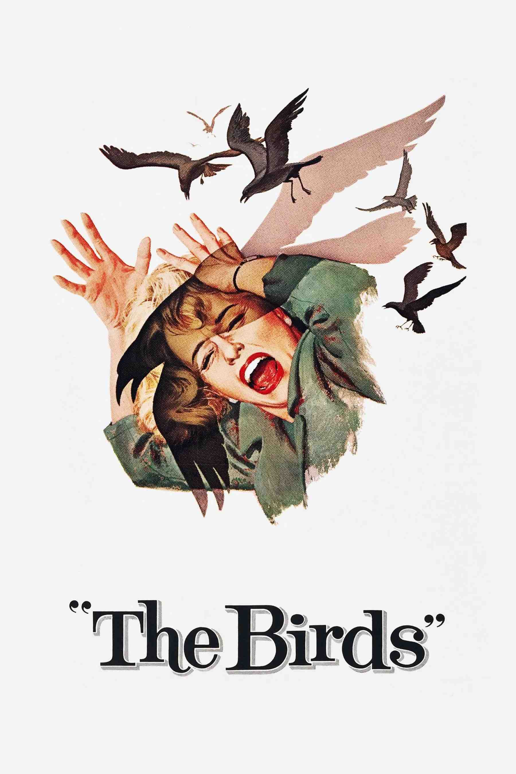 Poster chính thức của phim Phim Kinh Dị, Phim Giật Gân "Đàn Chim Dữ" (The Birds - 1963), với sự tham gia của diễn viên Tippi Hedren và Rod Taylor.