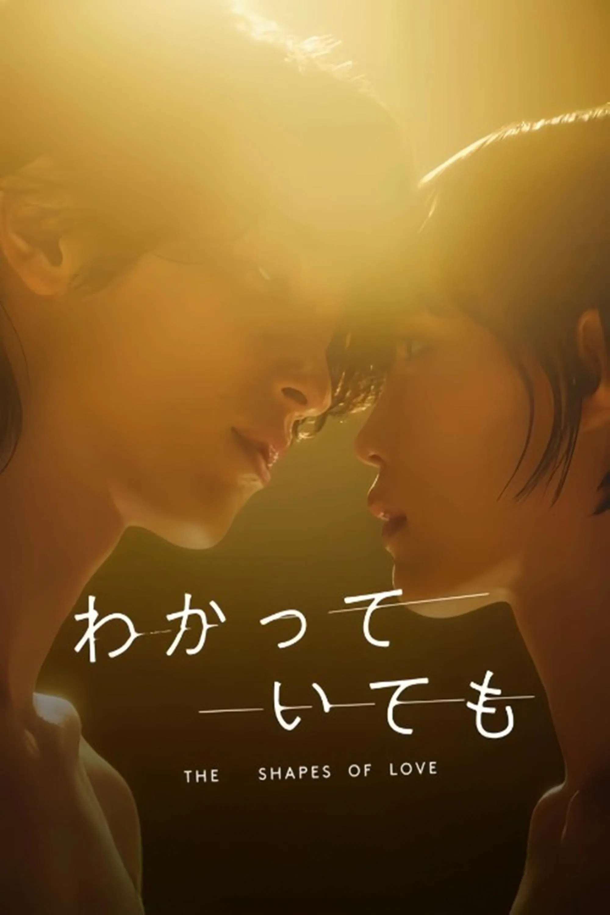 Poster chính thức của phim Phim Tâm Lý "Dẫu Biết Dáng Hình Tình Yêu" (Nevertheless: The Shapes of Love - 2024), với sự tham gia của diễn viên Ryusei Yokohama và Sara Minami.