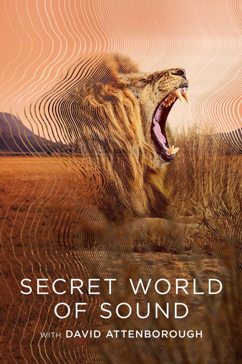 Poster chính thức của phim Phim Tài Liệu "David Attenborough: Thế giới bí mật của âm thanh" (Secret World of Sound - 2024), với sự tham gia của diễn viên Anthony Morgan và David Attenborough.