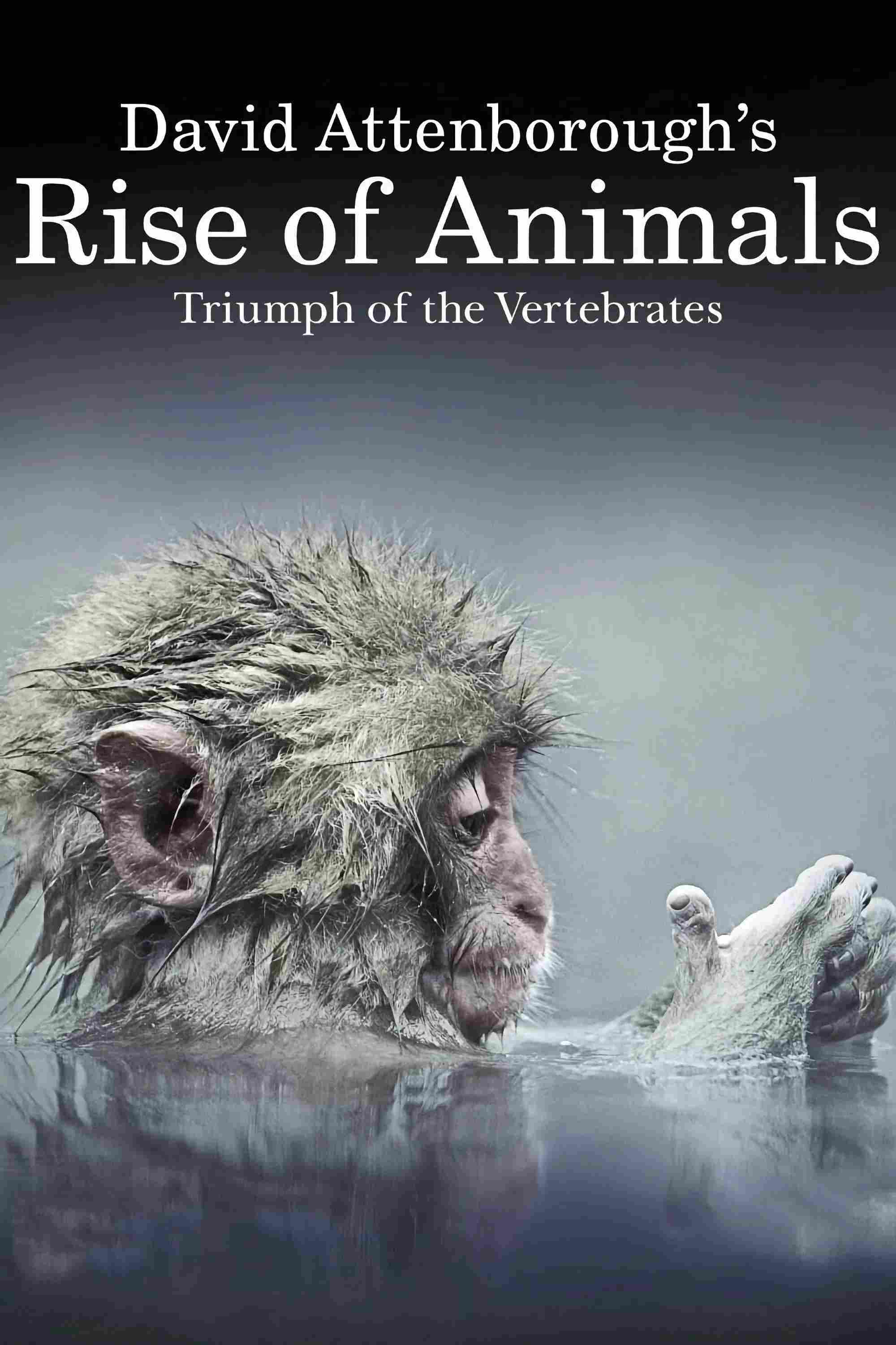 Poster chính thức của phim Phim Tài Liệu "David Attenborough's Rise of Animals: Triumph of the Vertebrates" (David Attenborough's Rise of Animals: Triumph of the Vertebrates - 2013), với sự tham gia của diễn viên David Attenborough.
