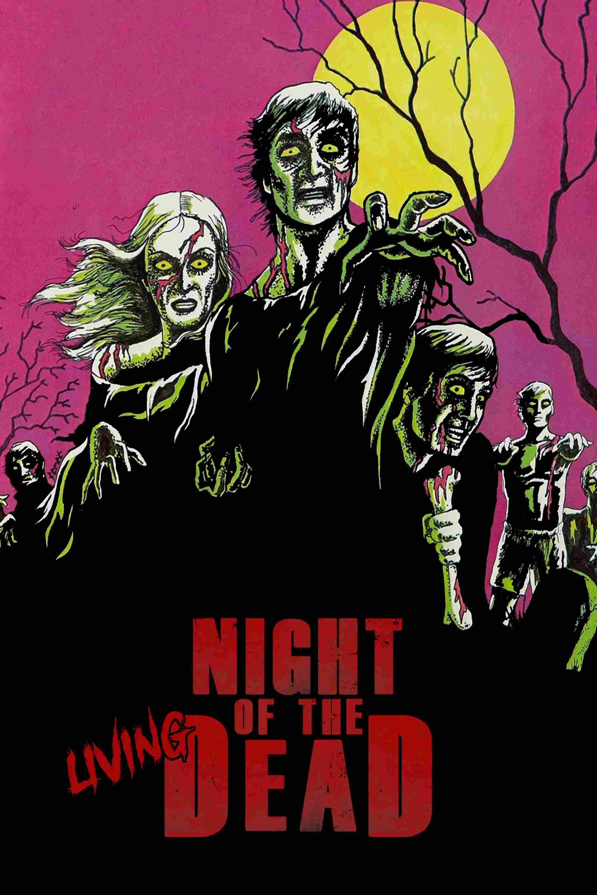 Poster chính thức của phim Phim Kinh Dị, Phim Giật Gân "Đêm Của Những Thây Ma" (Night of the Living Dead - 1968), với sự tham gia của diễn viên Judith O'Dea và Duane Jones.