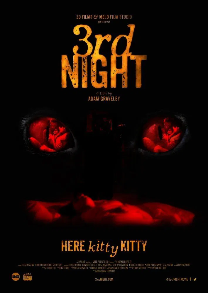Poster chính thức của phim Phim Kinh Dị "Đêm Thứ 3 Kinh Hoàng" (3rd Night - 2017), với sự tham gia của diễn viên Jesse McGinn và Robert Hartburn.