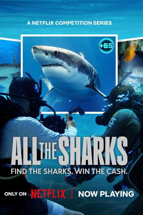 Poster chính thức của phim Phim Tài Liệu "Đi Tìm Cá Mập" (All the Sharks - 2025), với sự tham gia của diễn viên Tom Hird.