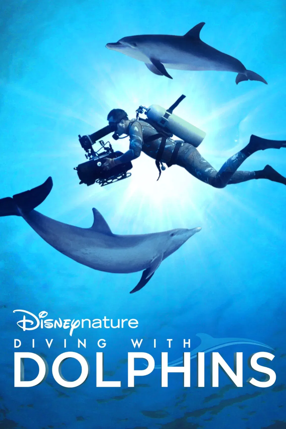 Poster chính thức của phim Phim Tài Liệu "Diving with Dolphins" (Diving with Dolphins - 2020), với sự tham gia của diễn viên Céline Cousteau.