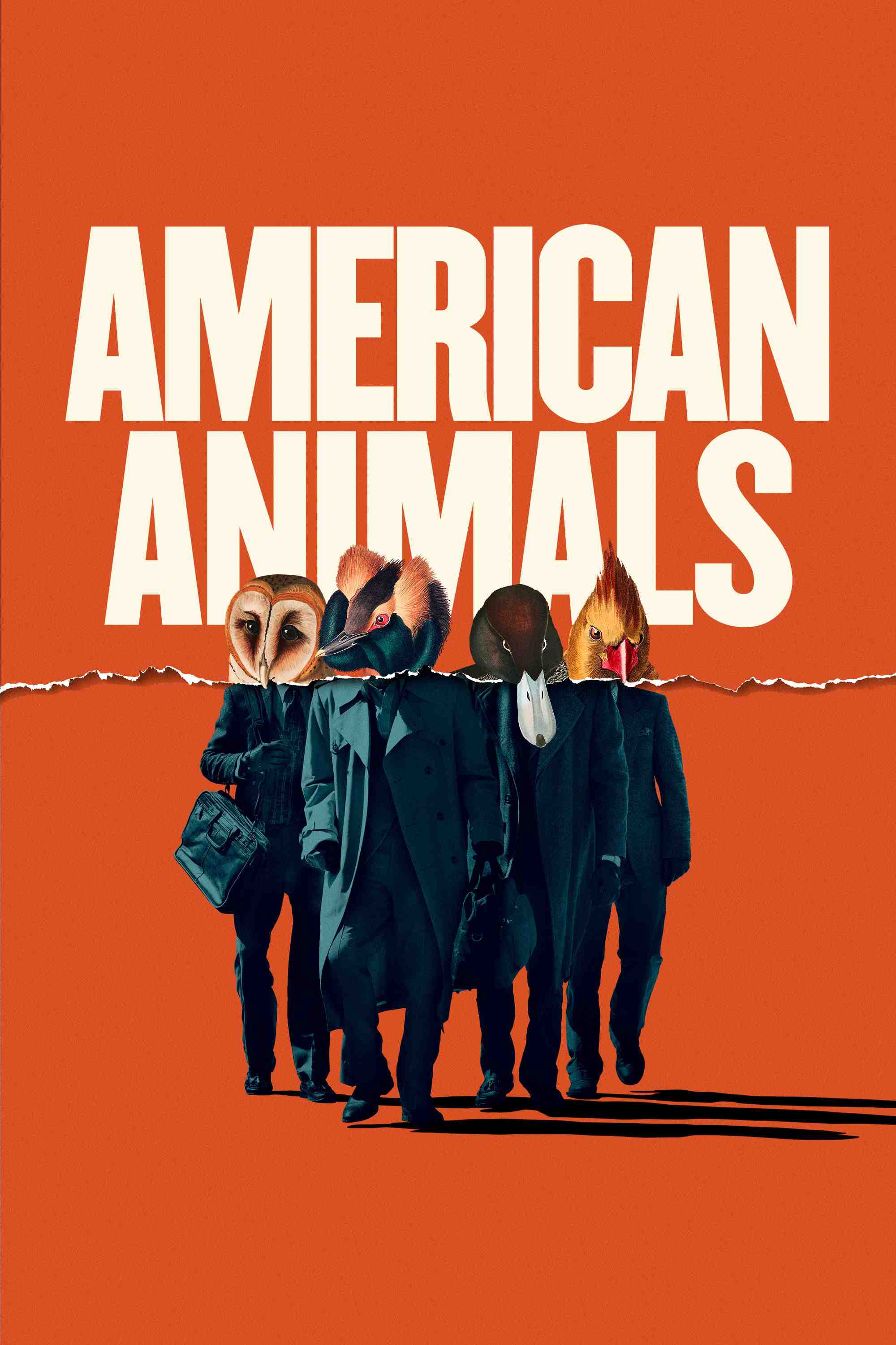 Poster chính thức của phim Phim Tâm Lý, Phim Hình Sự "Đồ Quỷ Mỹ" (American Animals - 2018), với sự tham gia của diễn viên Evan Peters và Barry Keoghan.