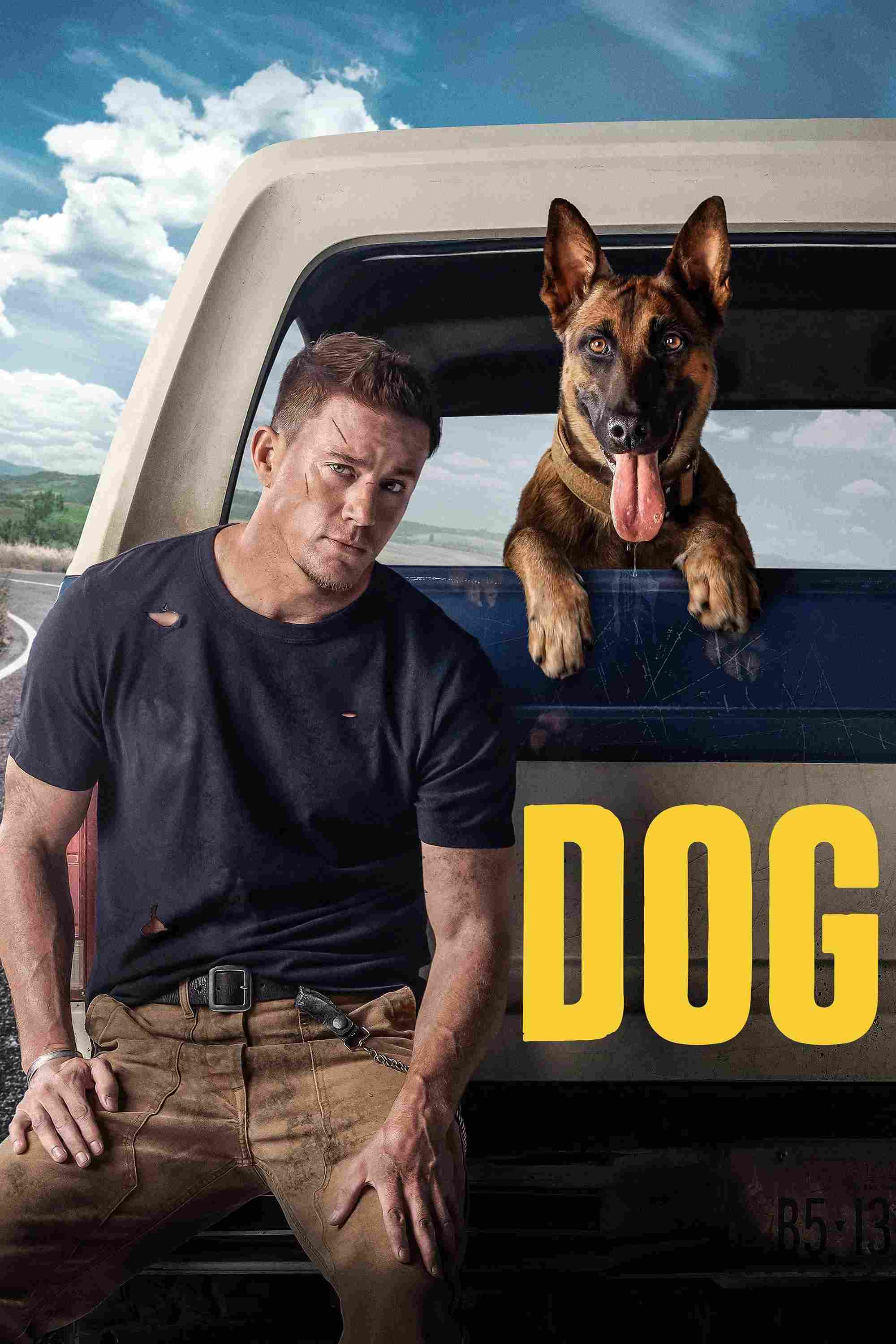 Poster chính thức của phim Phim Tâm Lý, Phim Hài "Dog" (Dog - 2022), với sự tham gia của diễn viên Channing Tatum và Aavi Haas.