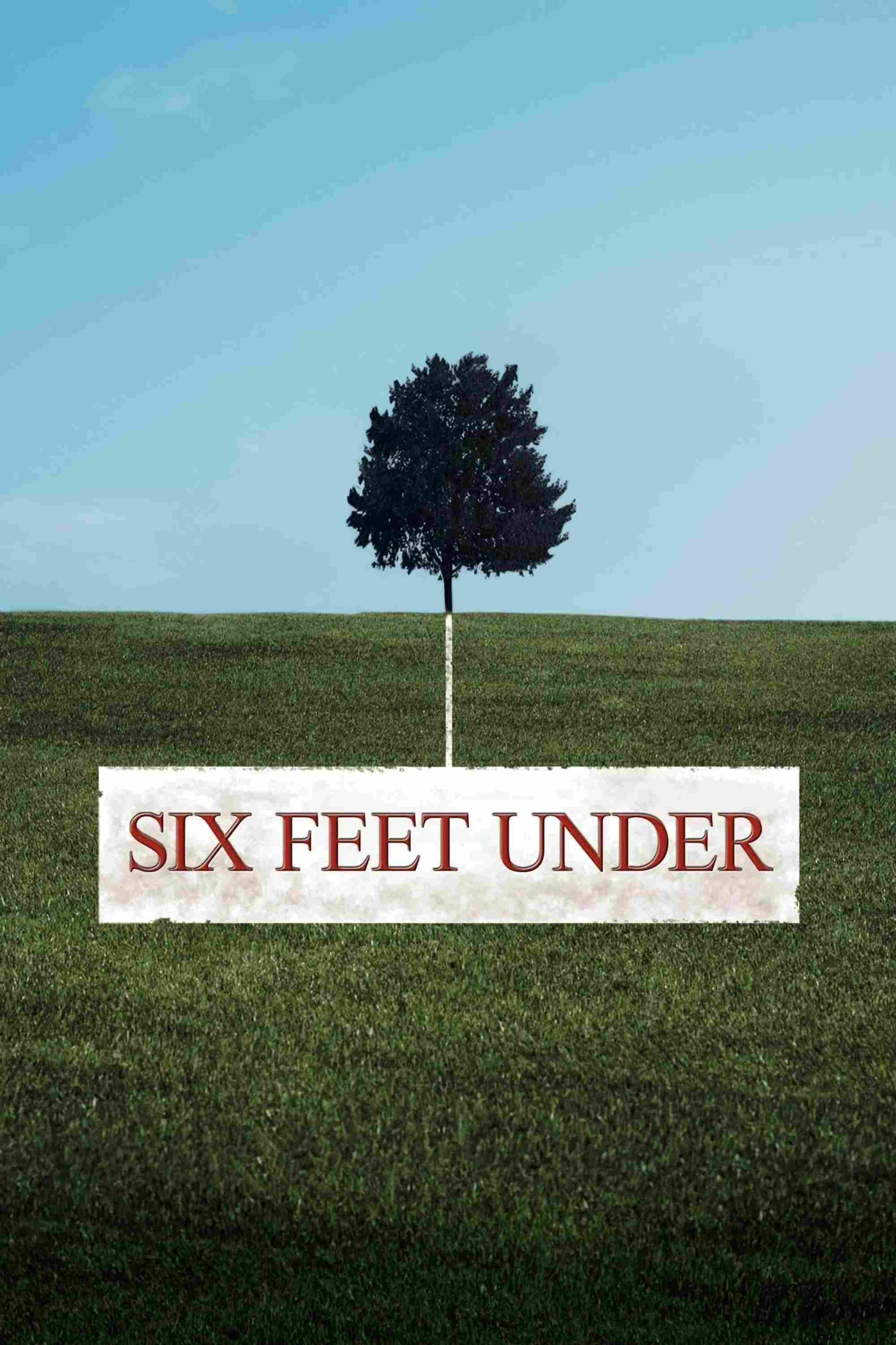 Poster chính thức của phim Phim Tâm Lý "Dưới Sáu Tấc Đất (Phần 2)" (Six Feet Under - 2001), với sự tham gia của diễn viên Peter Krause và Michael C. Hall.