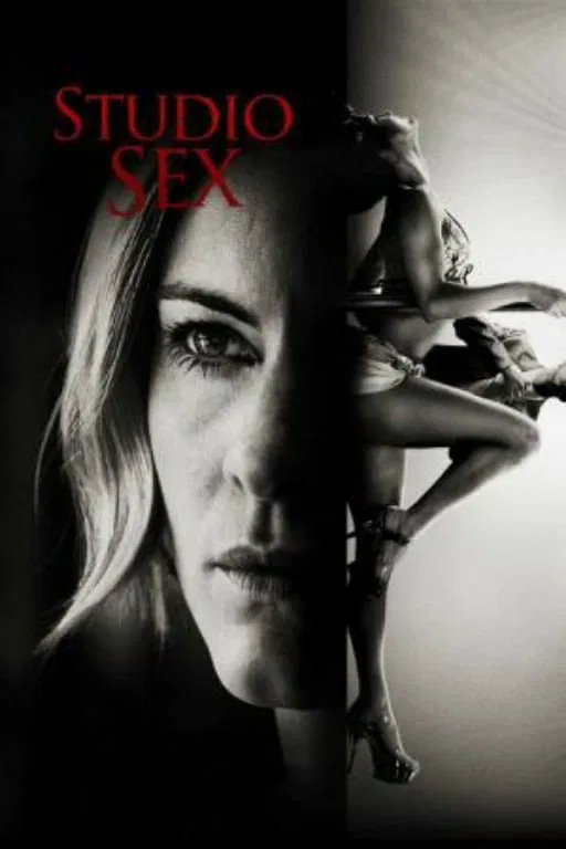 Poster chính thức của phim Phim Hình Sự, Phim Tâm Lý "Đường Dây Nóng" (Annika Bengtzon: Crime Reporter - Studio Sex - 2012), với sự tham gia của diễn viên Malin Crépin và Björn Kjellman.