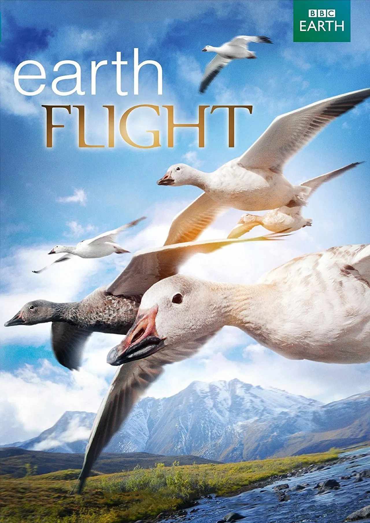 Poster chính thức của phim Phim Tài Liệu "Earthflight" (Earthflight - 2011), với sự tham gia của diễn viên David Tennant.