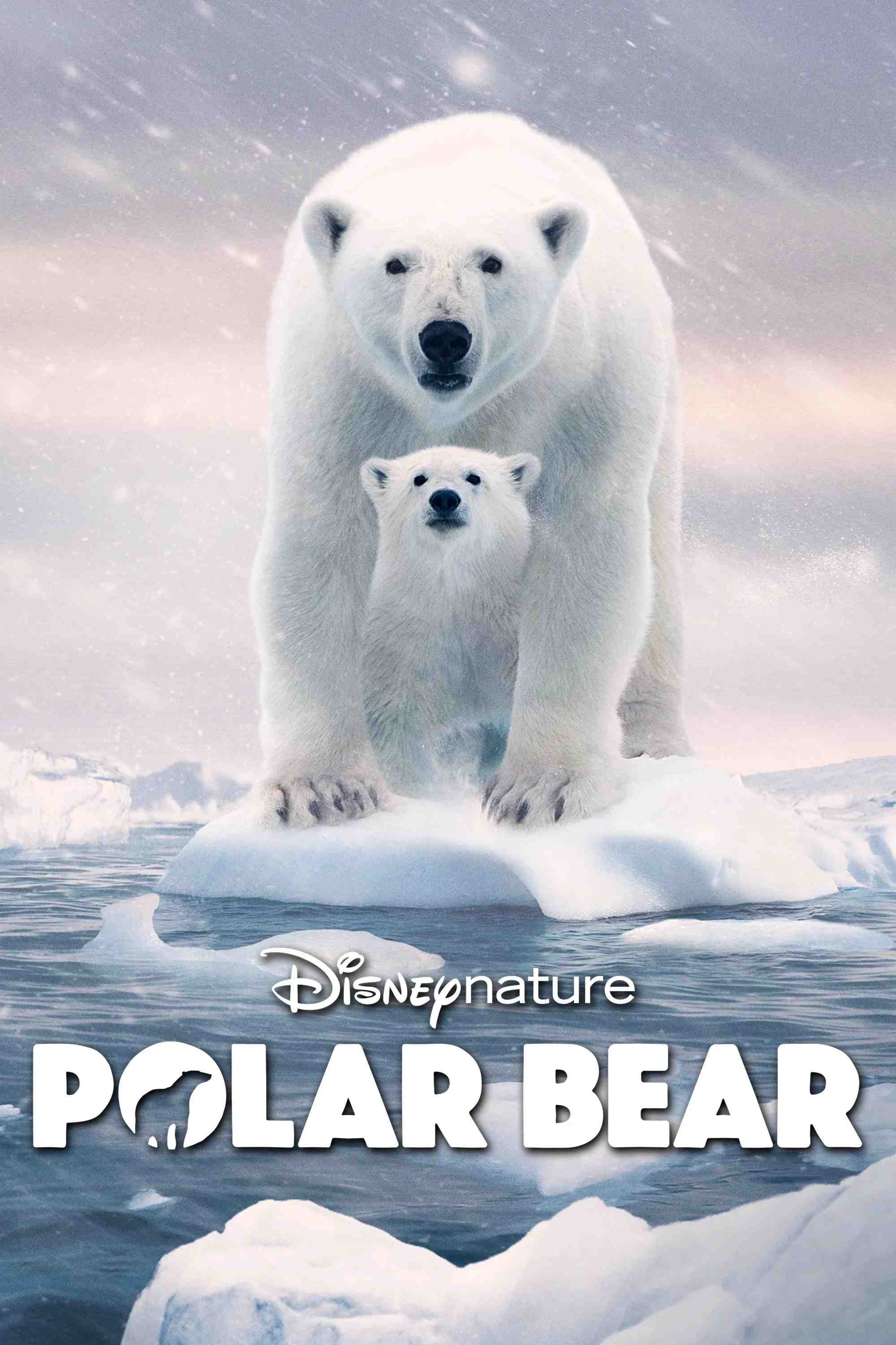 Poster chính thức của phim Phim Tài Liệu, Phim Gia Đình "Gấu Bắc Cực" (Polar Bear - 2022), với sự tham gia của diễn viên Catherine Keener.
