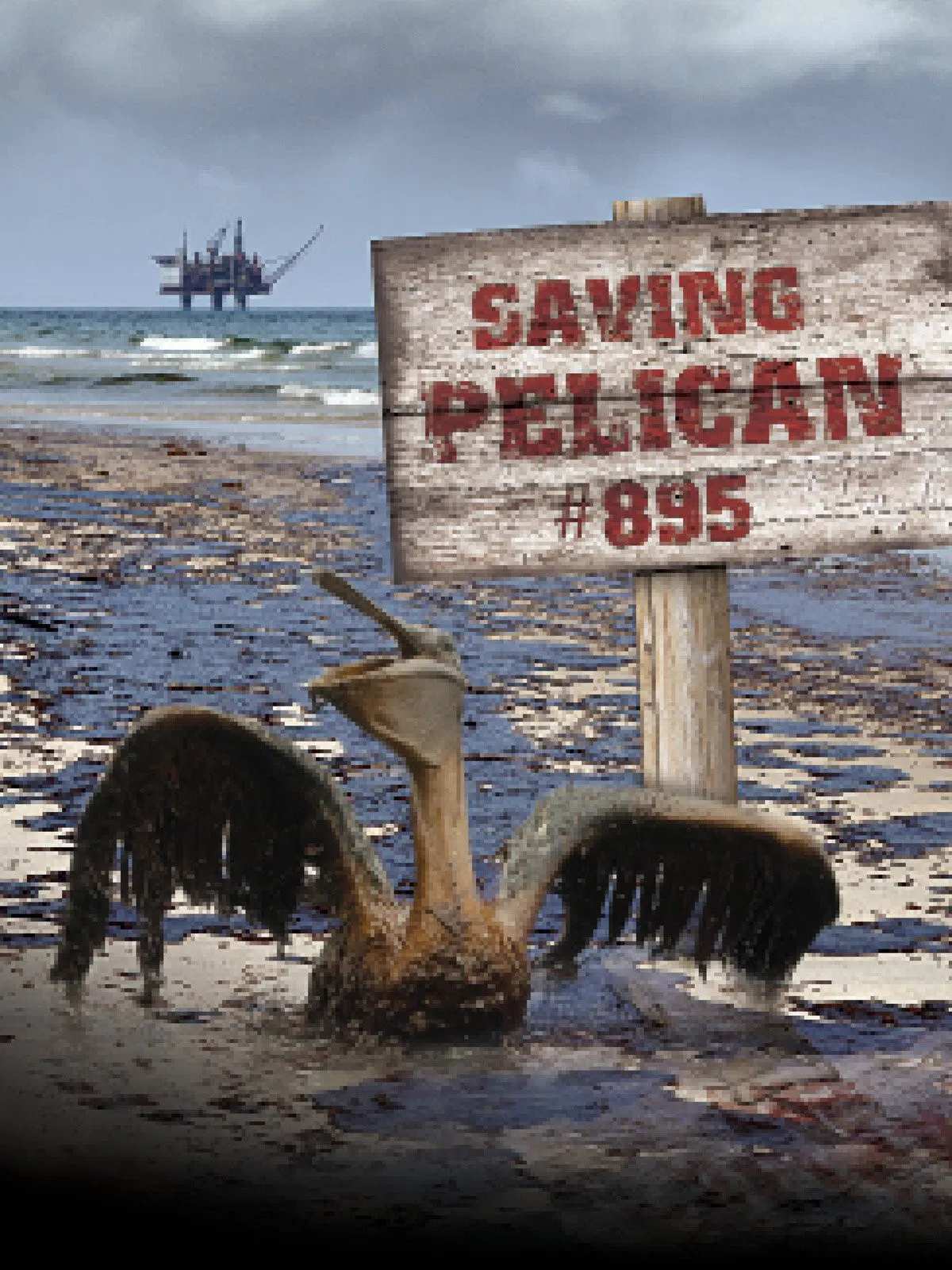 Poster chính thức của phim Phim Tài Liệu "Giải Cứu Chú Bồ Nông Thứ 895" (Saving Pelican 895 - 2011).