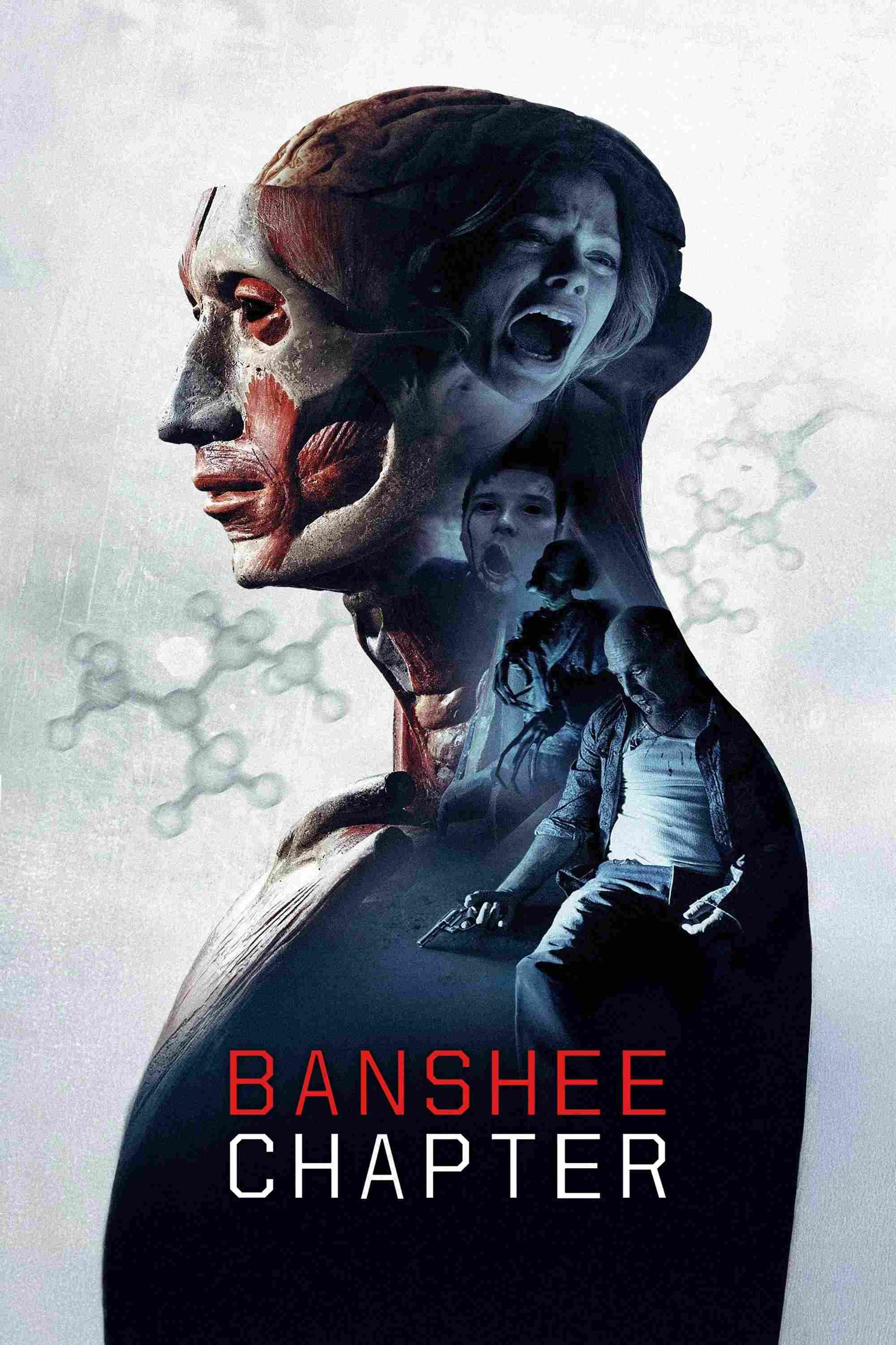 Poster chính thức của phim Phim Kinh Dị, Phim Giật Gân "Giải Mã Căn Phòng Bí Ẩn" (Banshee Chapter - 2013), với sự tham gia của diễn viên Ted Levine và Katia Winter.