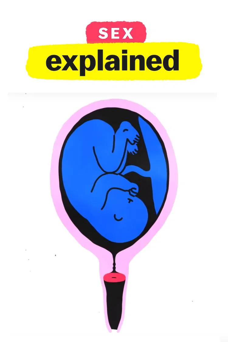Poster chính thức của phim Phim Tài Liệu "Giải Mã Tình Dục" (Sex, Explained - 2020), với sự tham gia của diễn viên Janelle Monáe.