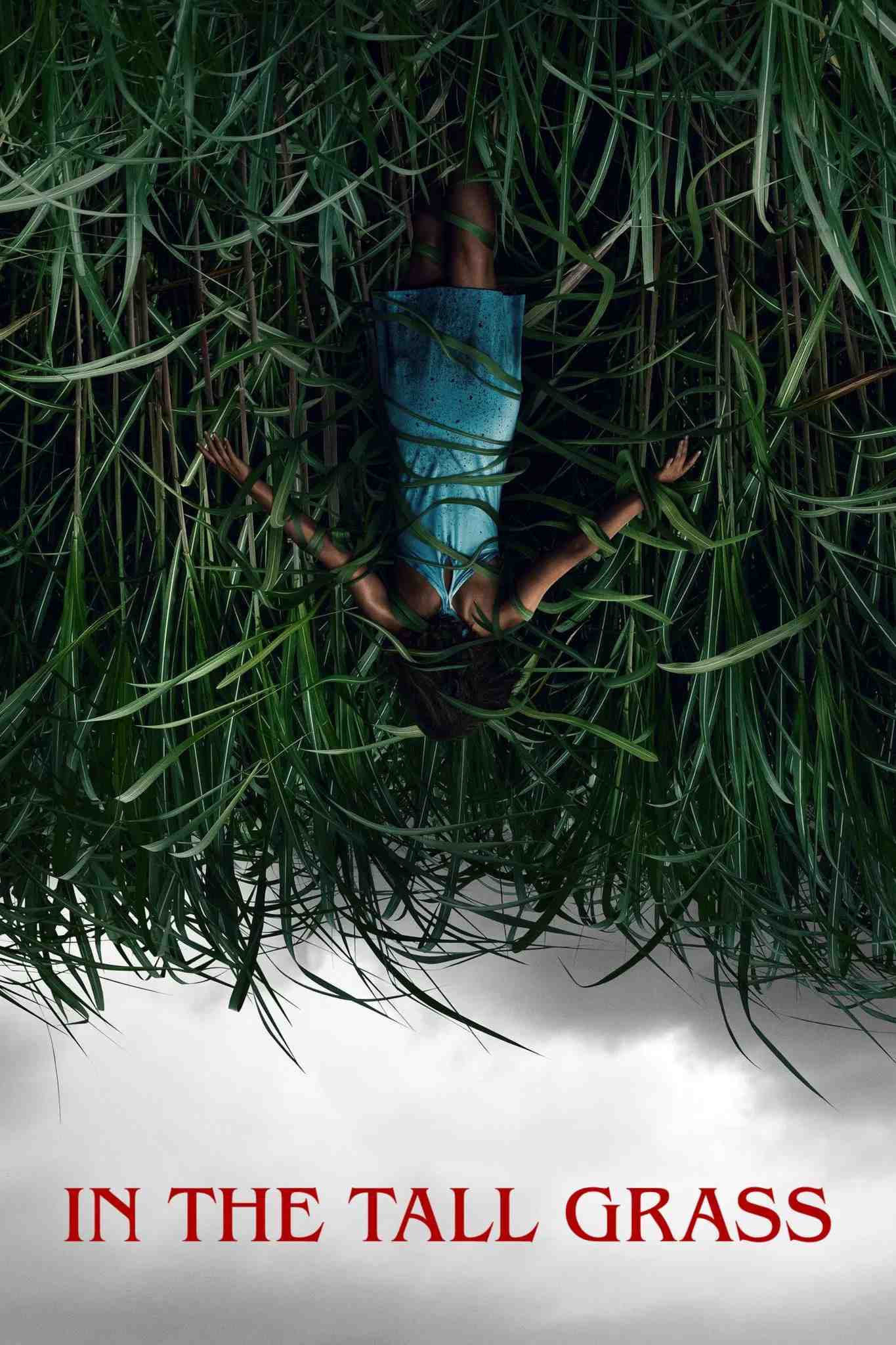 Poster chính thức của phim Phim Kinh Dị, Phim Tâm Lý "Giữa Bụi Cỏ Cao" (In the Tall Grass - 2019), với sự tham gia của diễn viên Laysla De Oliveira và Harrison Gilbertson.