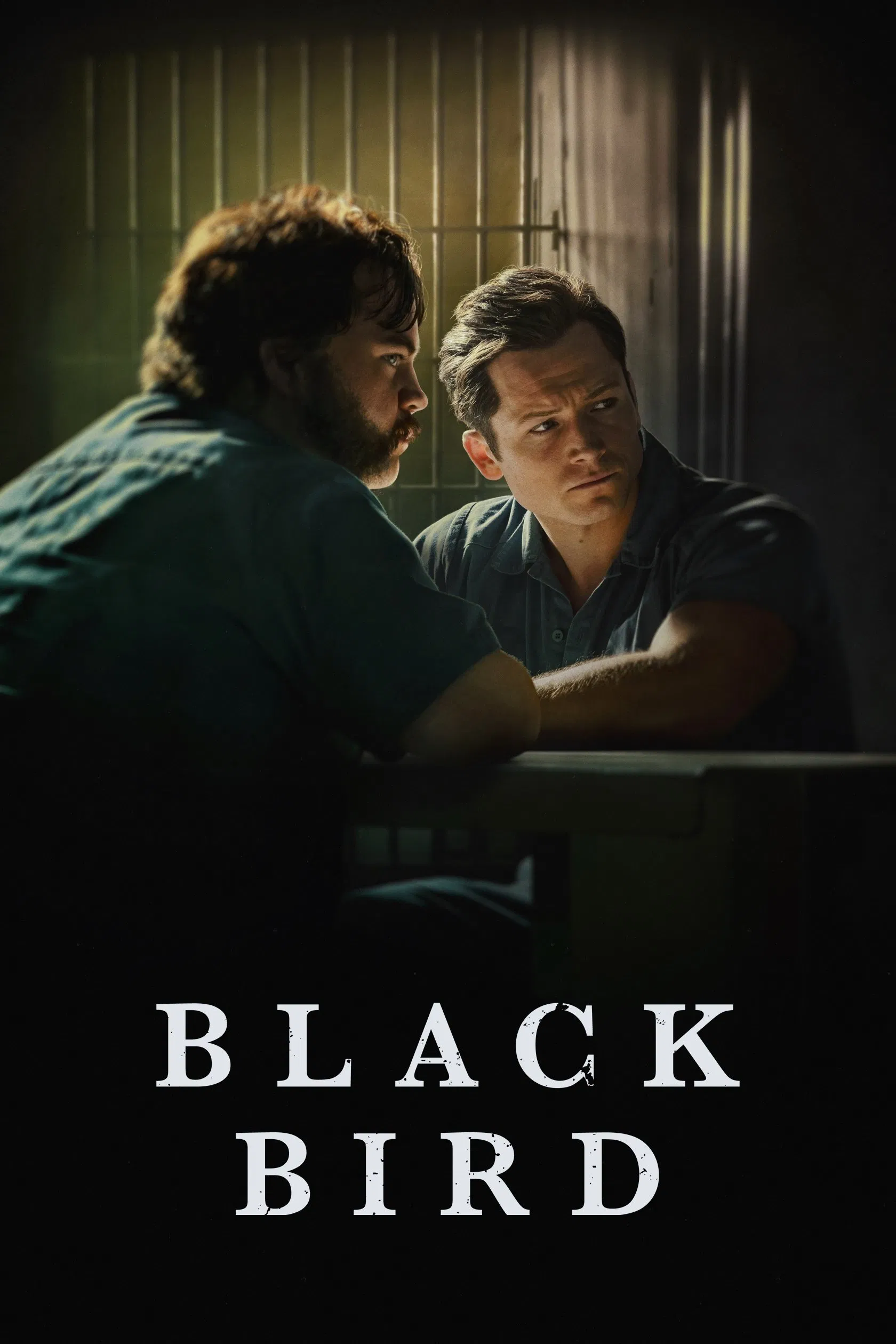 Poster chính thức của phim Phim Tâm Lý, Phim Hình Sự "Hắc Điểu (Phần 1)" (Black Bird - 2022), với sự tham gia của diễn viên Taron Egerton và Paul Walter Hauser.