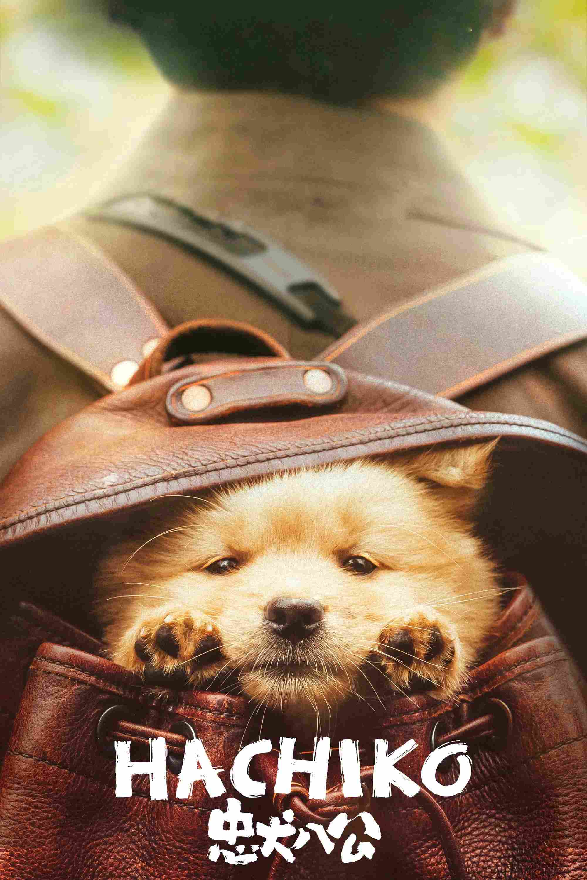 Poster chính thức của phim Phim Tâm Lý, Phim Gia Đình "HACHIKO" (Hachiko - 2023), với sự tham gia của diễn viên Feng Xiaogang và Trần Xung.