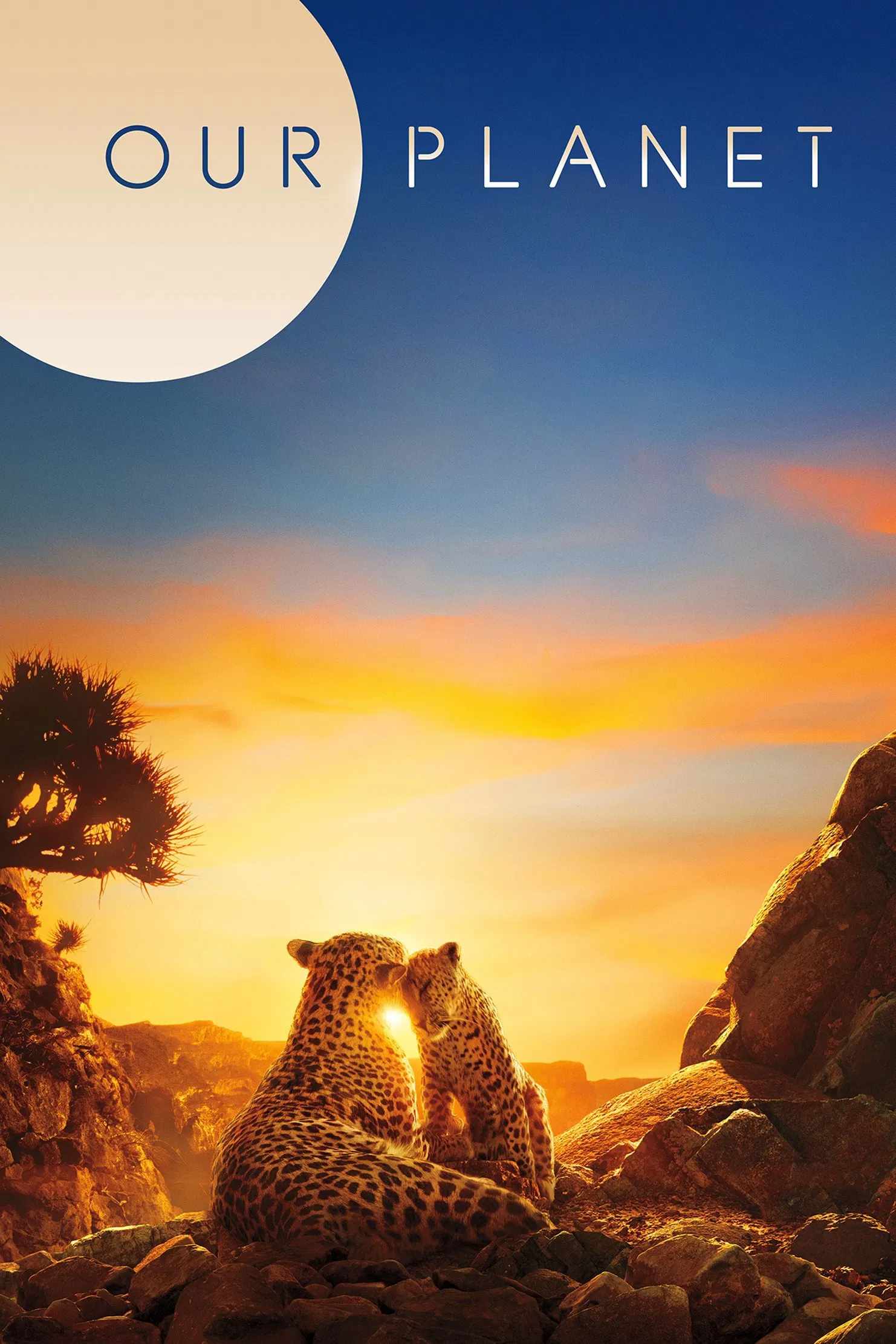 Poster chính thức của phim Phim Tài Liệu, Phim Gia Đình "Hành tinh của chúng ta" (Our Planet - 2019), với sự tham gia của diễn viên David Attenborough.
