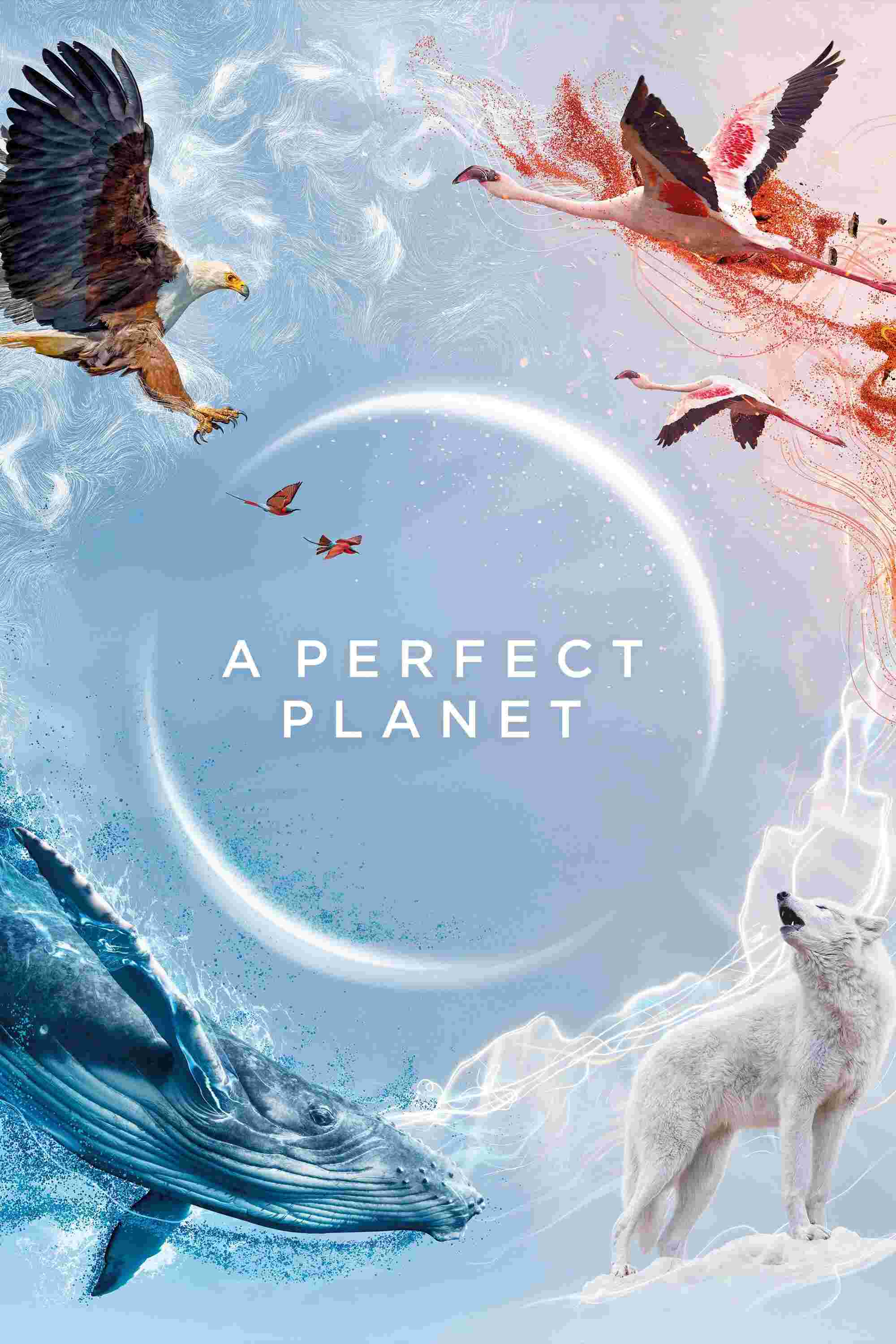 Poster chính thức của phim Phim Tài Liệu "Hành Tinh Hoàn Hảo" (A Perfect Planet - 2021), với sự tham gia của diễn viên David Attenborough.