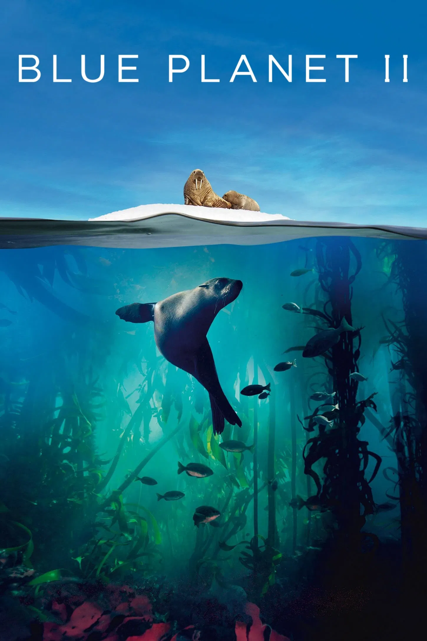 Poster chính thức của phim Phim Tài Liệu, Phim Gia Đình "Hành Tinh Màu Xanh Dương 2" (Blue Planet II - 2017), với sự tham gia của diễn viên David Attenborough.