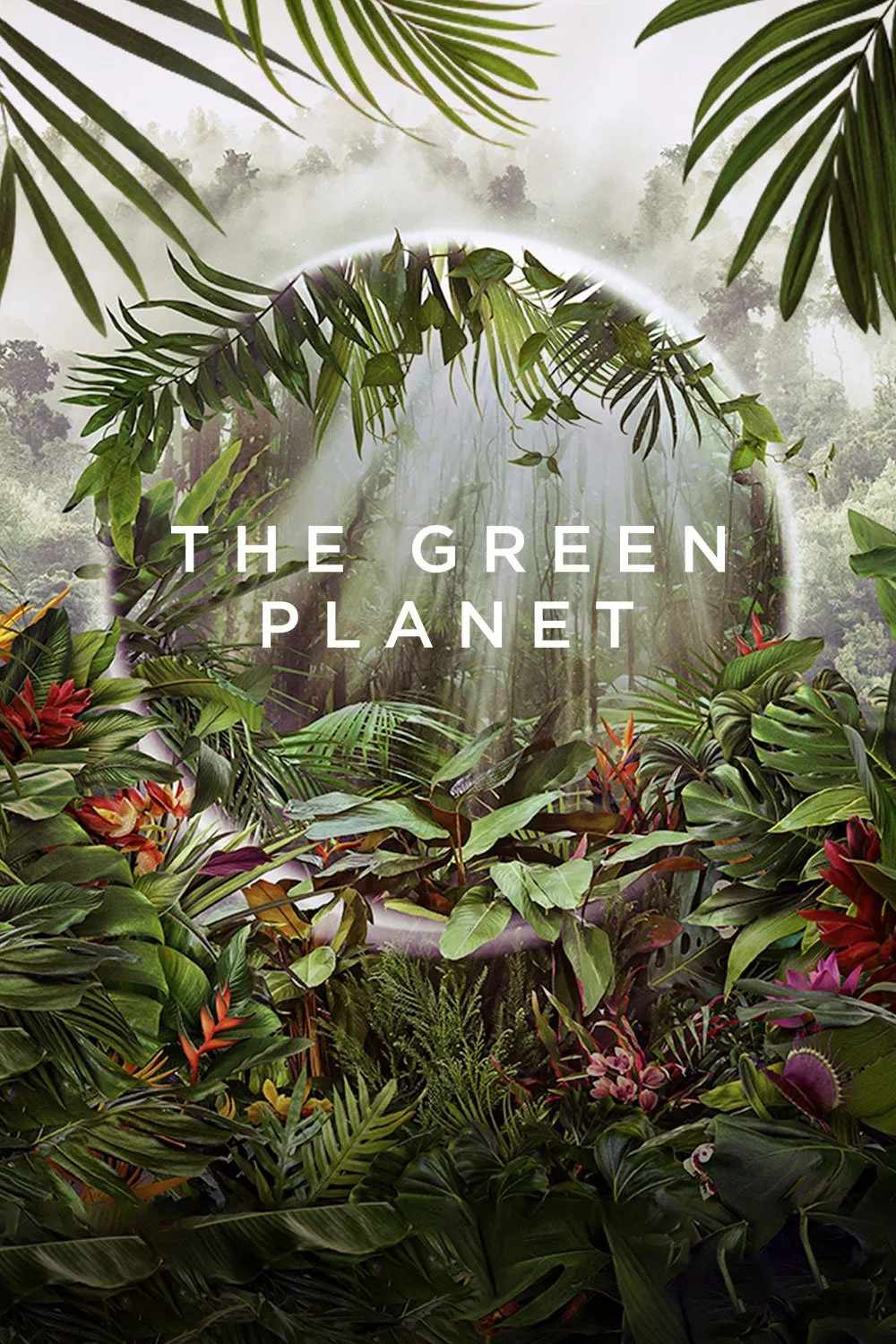 Poster chính thức của phim Phim Tài Liệu "Hành Tinh Xanh" (The Green Planet - 2022), với sự tham gia của diễn viên David Attenborough.