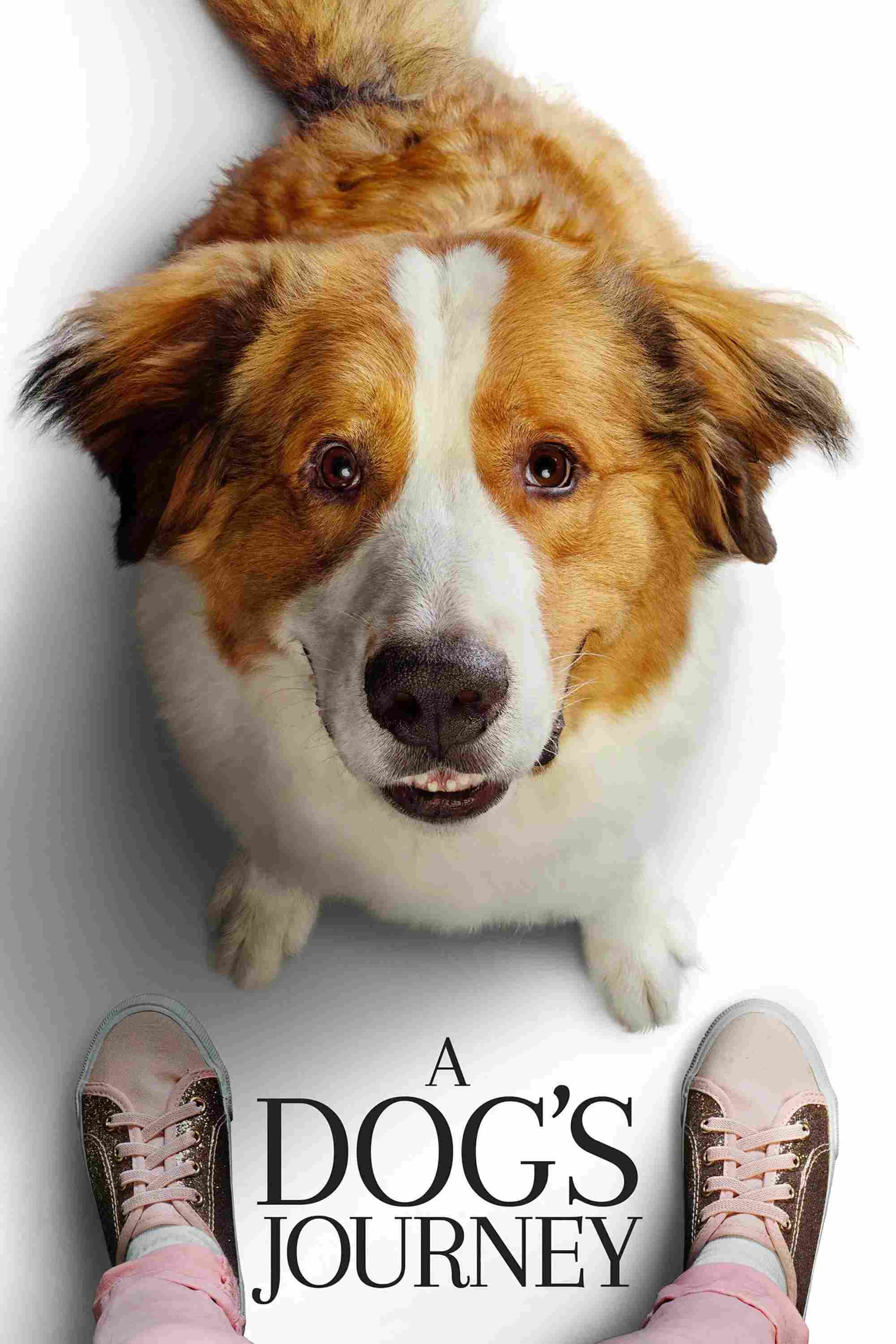 Poster chính thức của phim Phim Gia Đình, Phim Phiêu Lưu "Hành Trình Của Chú Chó Bailey" (A Dog's Journey - 2019), với sự tham gia của diễn viên Marg Helgenberger và Betty Gilpin.