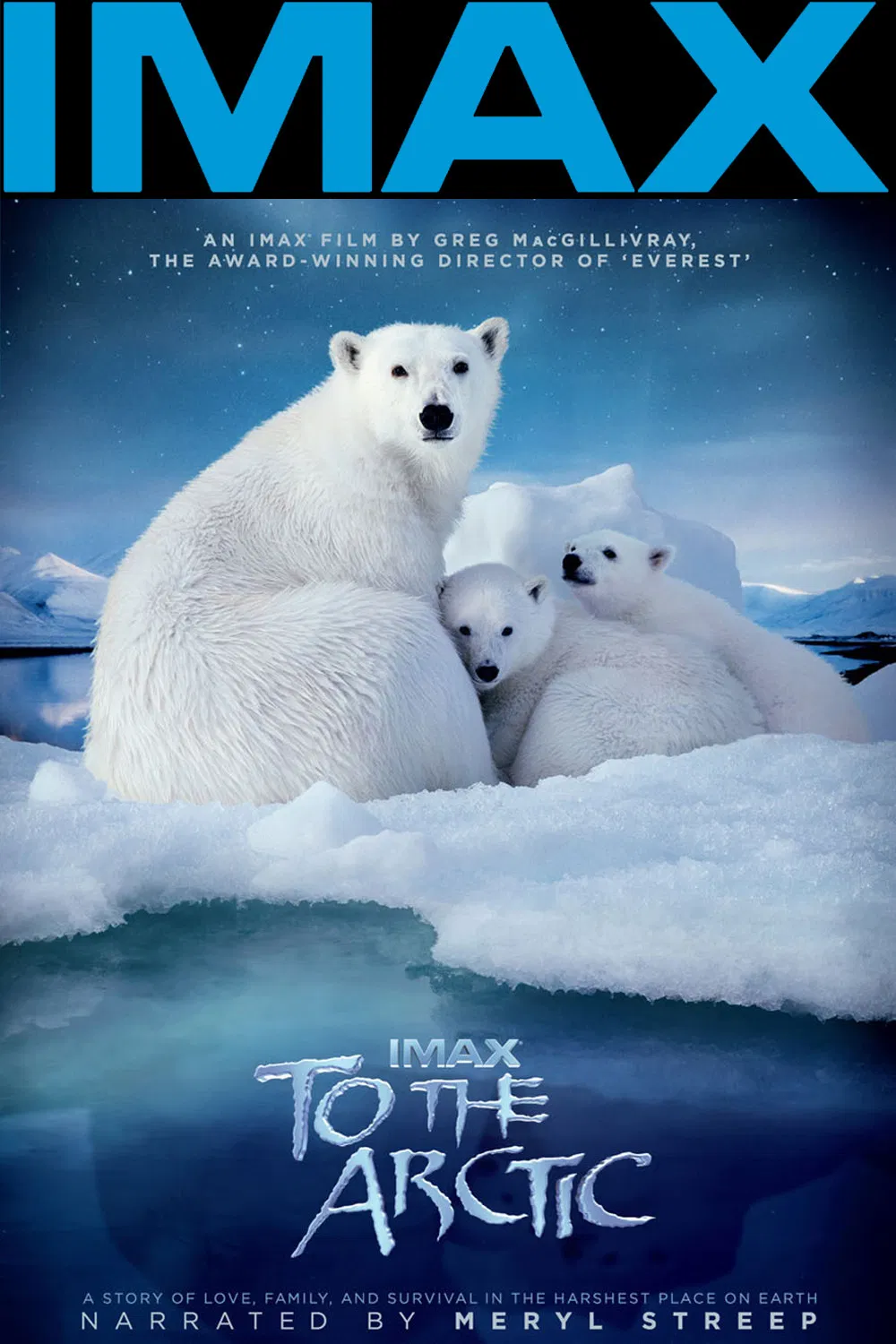 Poster chính thức của phim Phim Tài Liệu "Hành Trình Đến Bắc Cực" (To the Arctic 3D - 2012), với sự tham gia của diễn viên Meryl Streep.