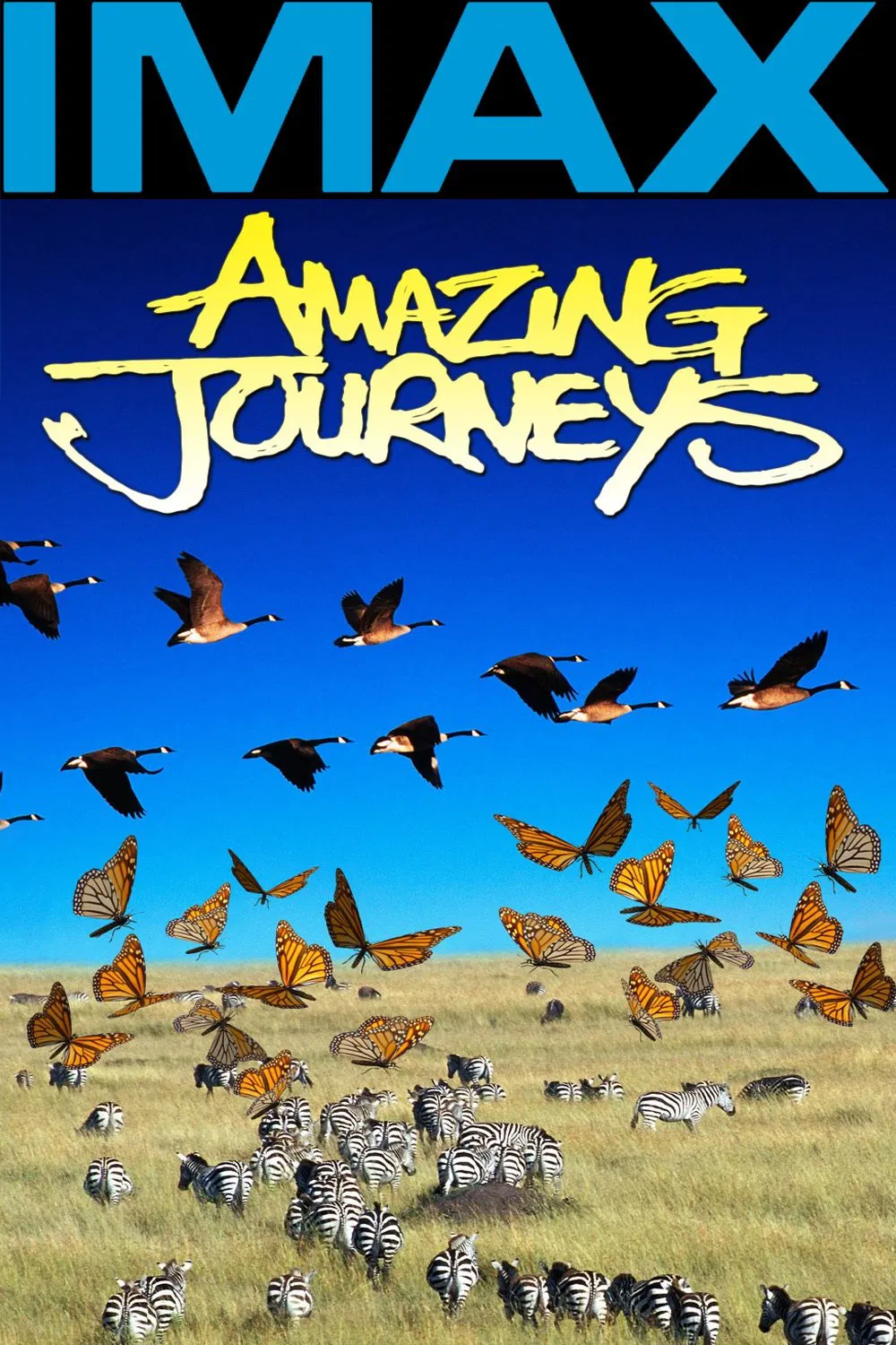 Poster chính thức của phim Phim Tài Liệu "Hành Trình Kinh Ngạc" (Amazing Journeys - 1999), với sự tham gia của diễn viên Robert Foxworth và Ebonie Smith.
