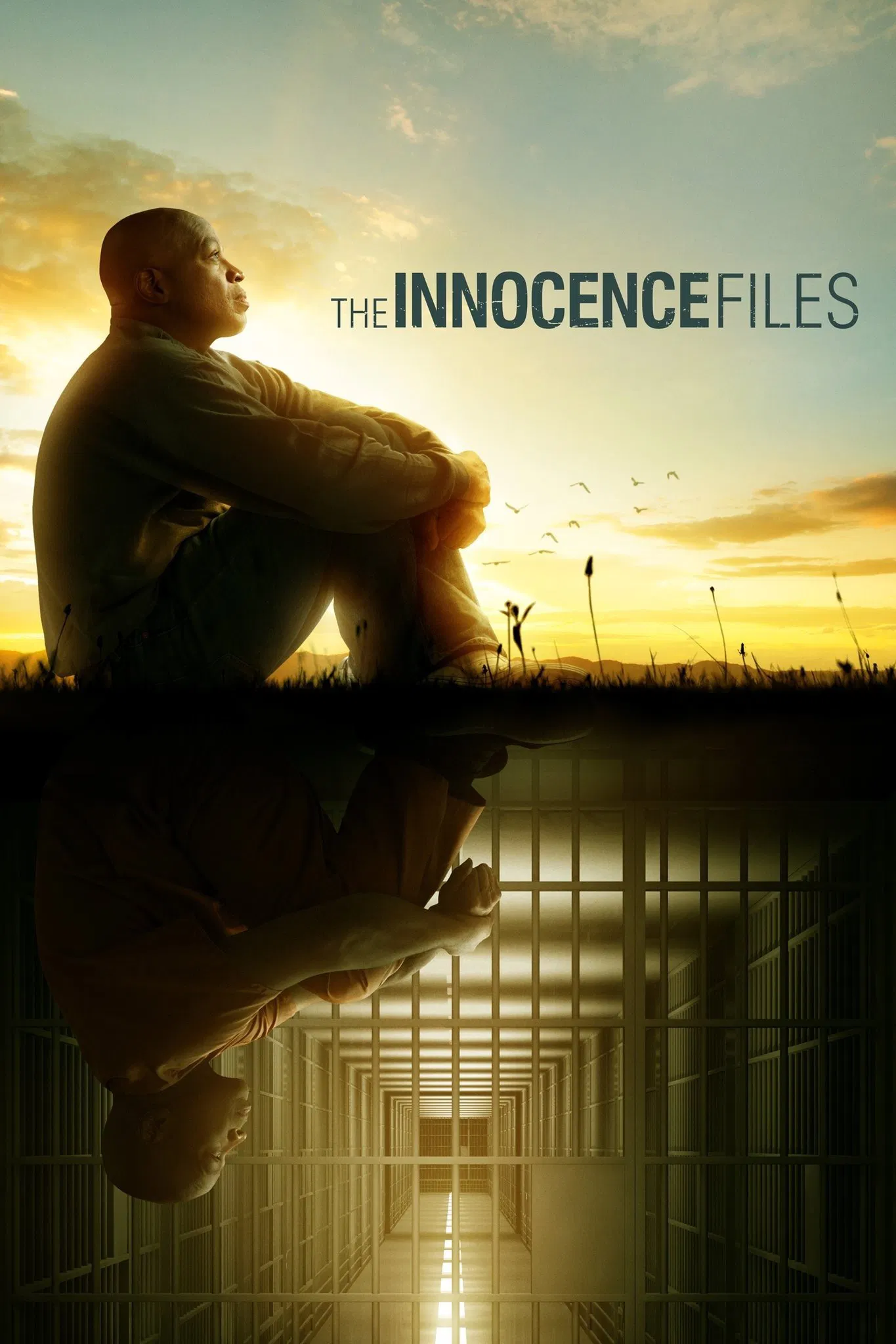 Poster chính thức của phim Phim Tài Liệu "Hồ sơ vô tội" (The Innocence Files - 2020).