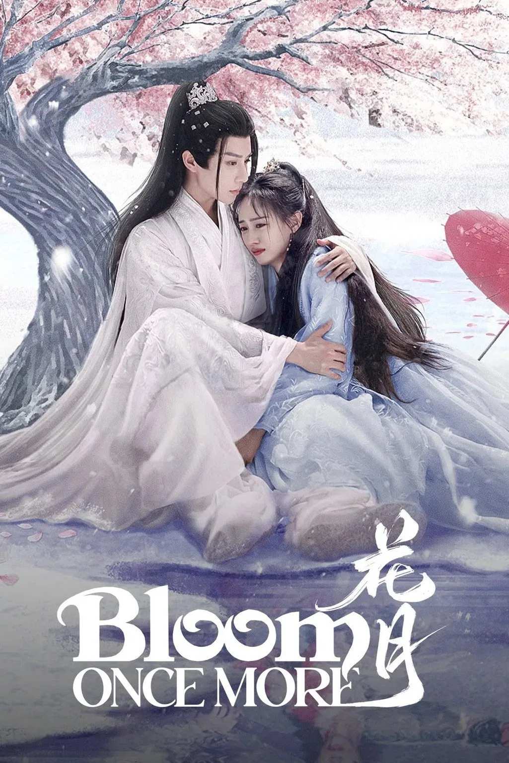 Poster chính thức của phim Phim Tâm Lý "Hoa Nguyệt" (Bloom Once More - 2025), với sự tham gia của diễn viên Huang Tingting và Quyền Bái Luân.