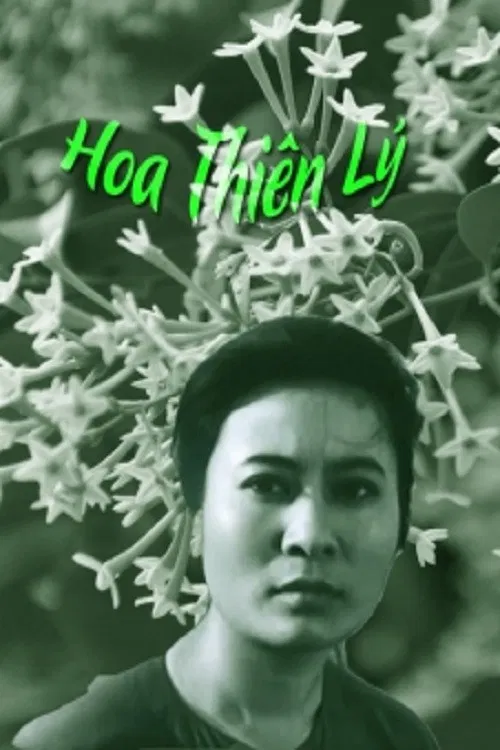 Poster chính thức của phim "Hoa Thiên Lý" (Tonkin Jasmine Flower - 1973), với sự tham gia của diễn viên Trần Tiến.