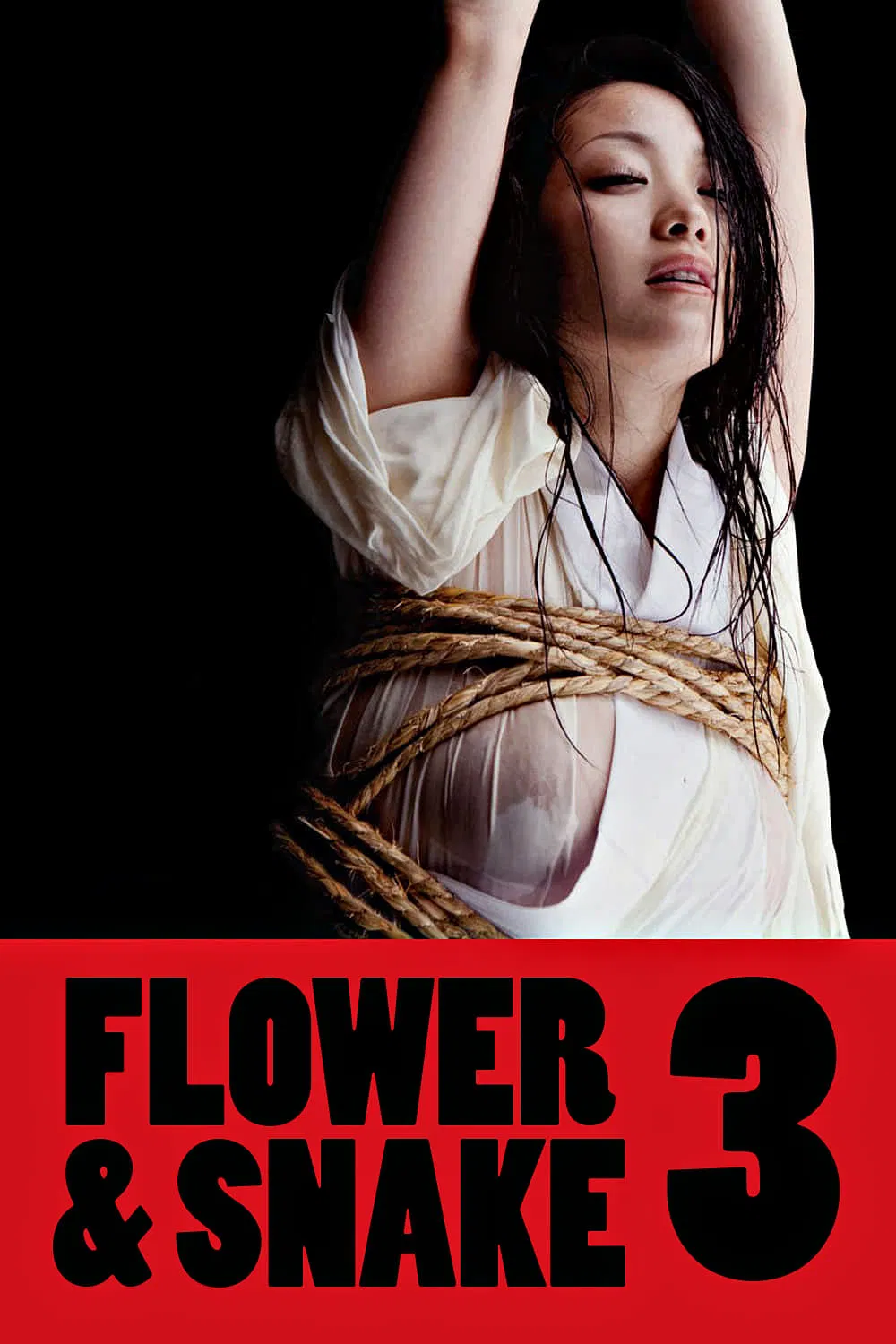 Poster chính thức của phim Phim Tâm Lý, Phim Tình Cảm "Hoa Và Rắn 3" (Flower & Snake 3 - 2010), với sự tham gia của diễn viên Minako Komukai và Yasukaze Motomiya.