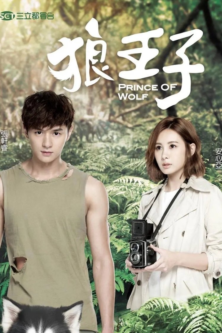 Poster chính thức của phim Phim Tâm Lý, Phim Hài "Hoàng Tử Sói" (Prince of Wolf - 2016), với sự tham gia của diễn viên Derek Chang và An Tâm Á.