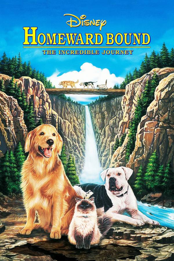 Poster chính thức của phim Phim Phiêu Lưu, Phim Hài "Homeward Bound: The Incredible Journey" (Homeward Bound: The Incredible Journey - 1993), với sự tham gia của diễn viên Michael J. Fox và Sally Field.