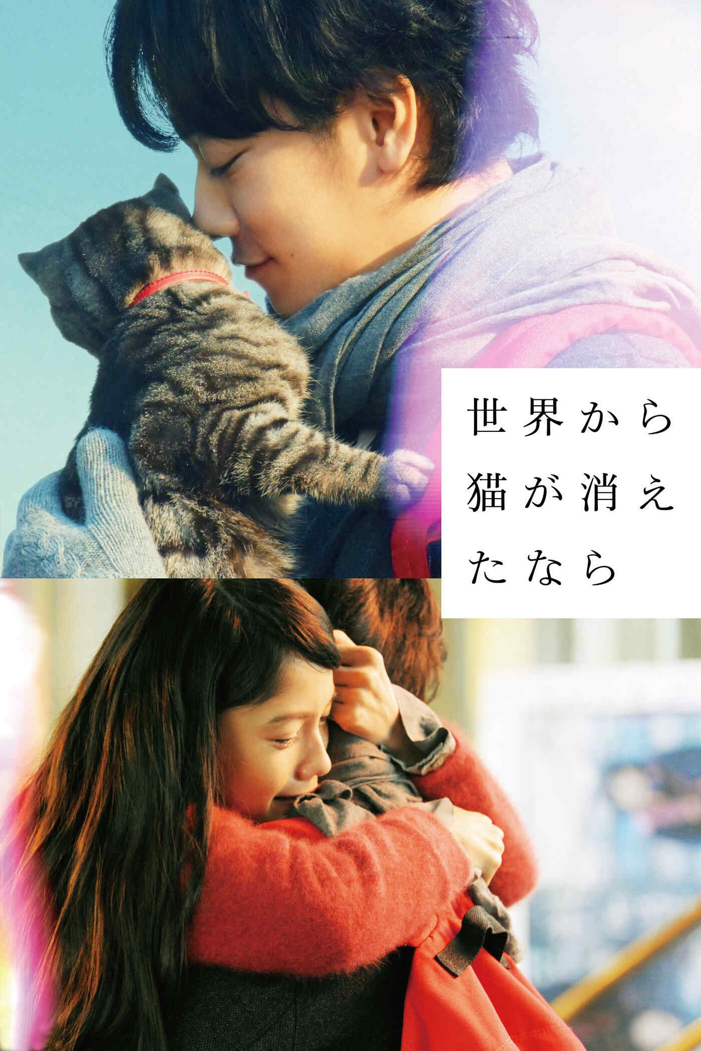 Poster chính thức của phim Phim Tâm Lý, Phim Giả Tượng "If Cats Disappeared from the World" (If Cats Disappeared from the World - 2016), với sự tham gia của diễn viên Takeru Satoh và Aoi Miyazaki.