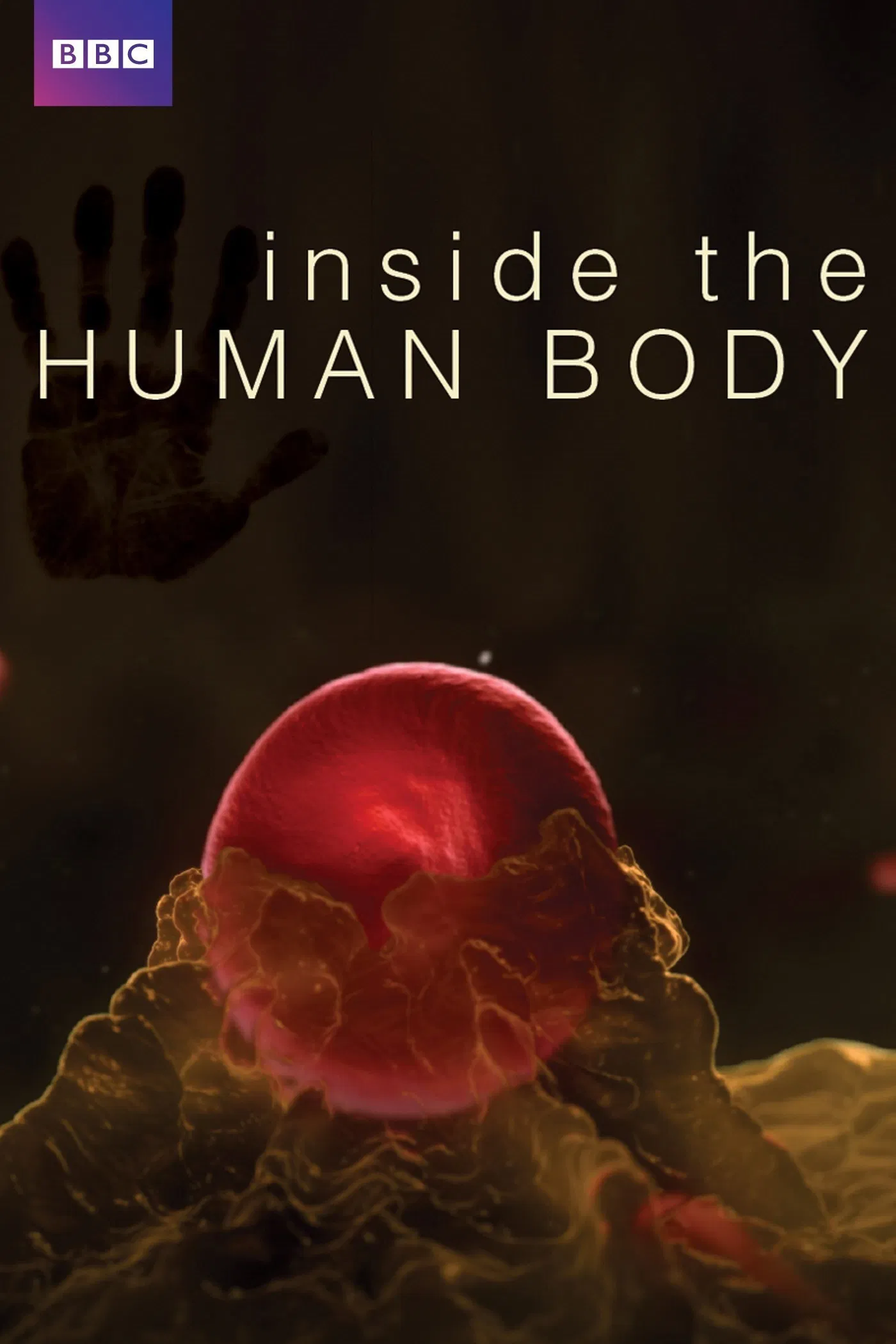 Poster chính thức của phim Phim Tài Liệu "Inside the Human Body" (Inside the Human Body - 2011), với sự tham gia của diễn viên Michael Mosley.