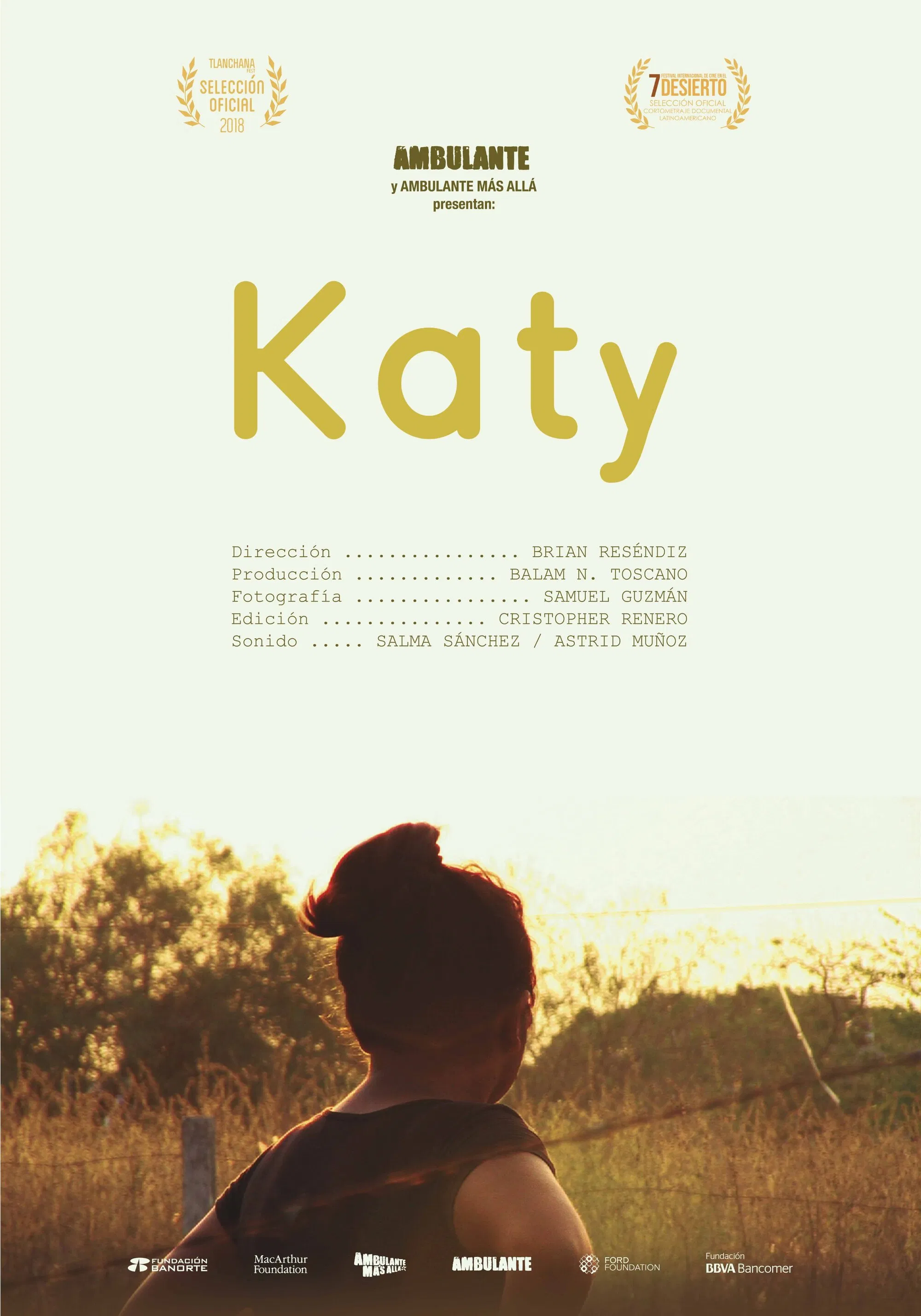 Poster chính thức của phim Phim Tài Liệu "Katy Rắc Rối" (Katy - 2017).