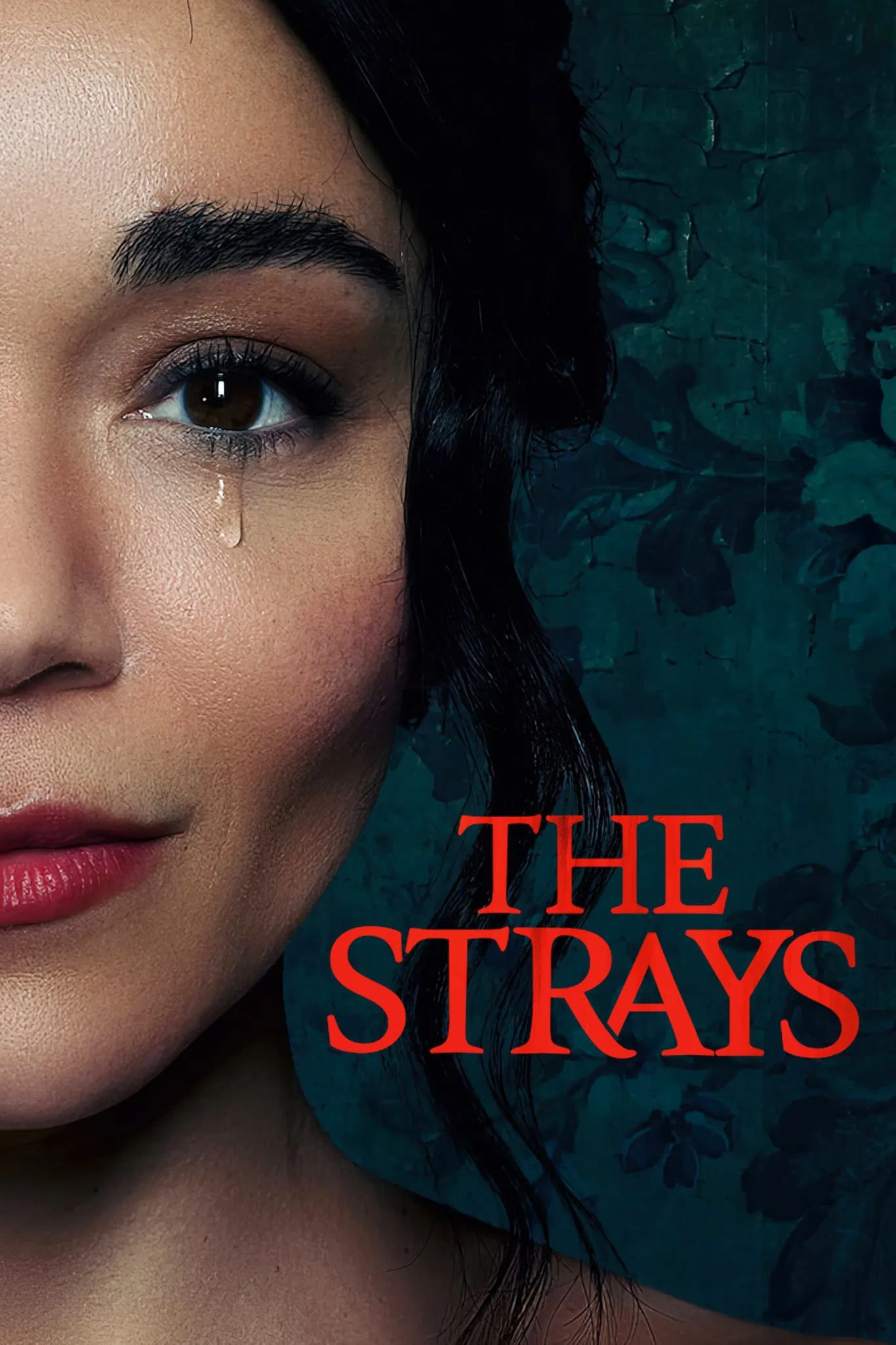 Poster chính thức của phim Phim Giật Gân "Kẻ Lạc Đường" (The Strays - 2023), với sự tham gia của diễn viên Ashley Madekwe và Justin Salinger.