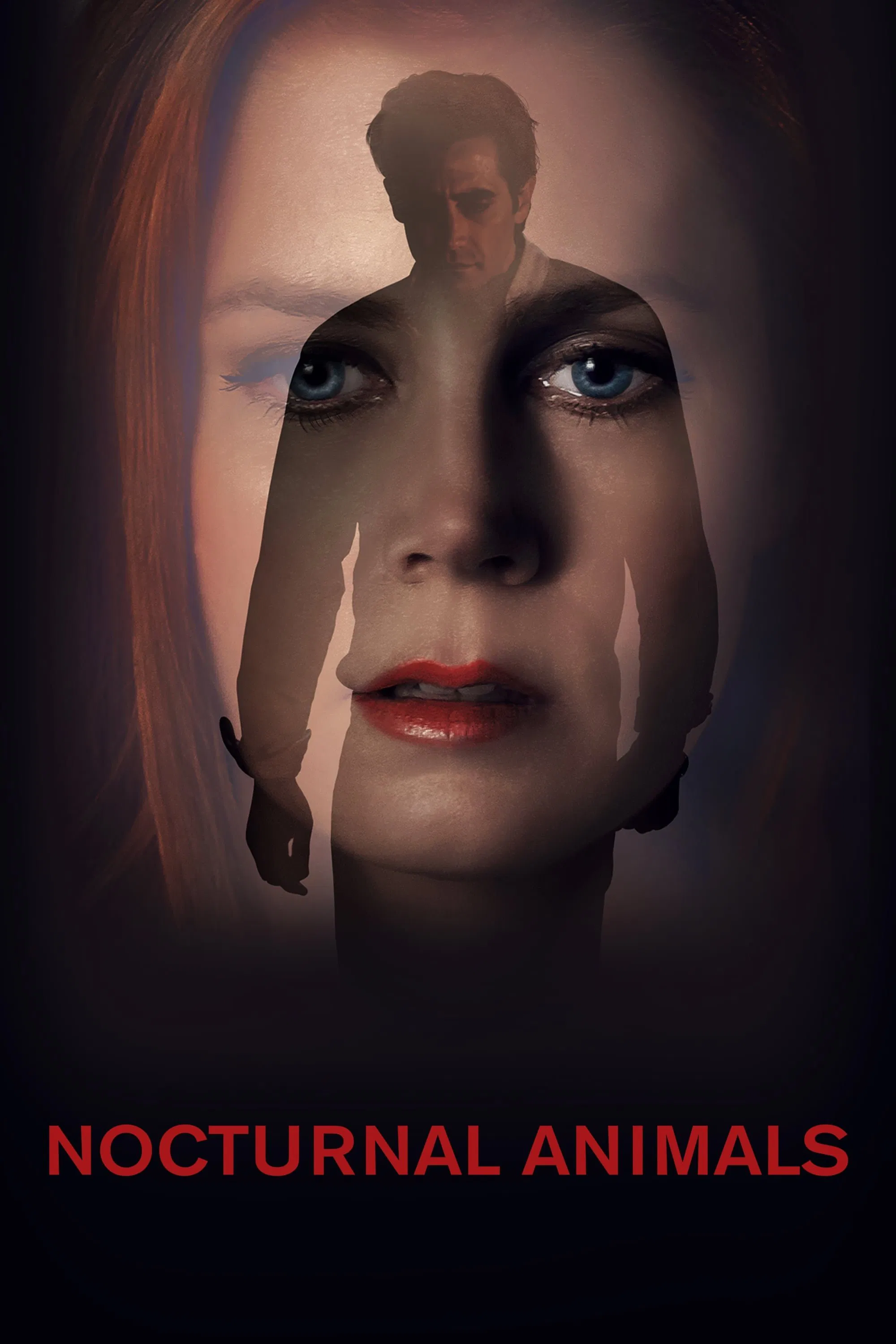 Poster chính thức của phim Phim Tâm Lý, Phim Giật Gân "Kẻ Săn Đêm" (Nocturnal Animals - 2016), với sự tham gia của diễn viên Amy Adams và Jake Gyllenhaal.
