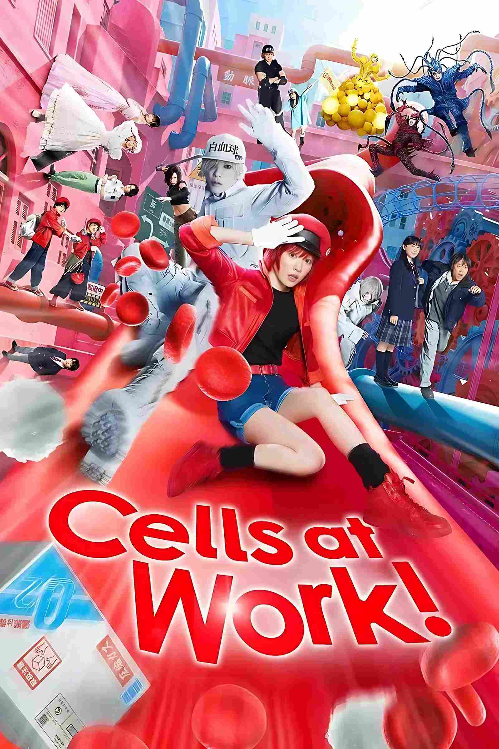 Poster chính thức của phim Phim Phiêu Lưu, Phim Hành Động "Khi Tế Bào Làm Việc" (Cells at Work! - 2024), với sự tham gia của diễn viên Mei Nagano và Takeru Satoh.