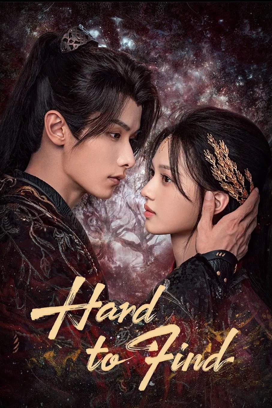 Poster chính thức của phim Phim Tâm Lý "Khó Tìm (Nan Tầm)" (Hard to Find - 2024), với sự tham gia của diễn viên Zhao Yiqin và Thẩm Vũ Khiết.