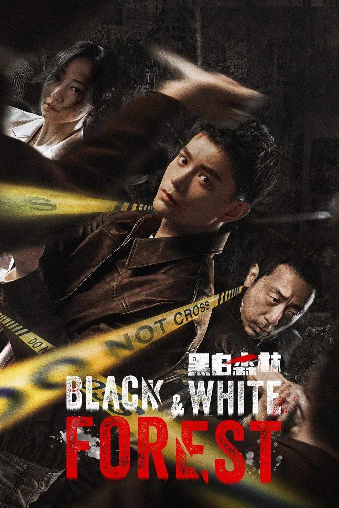 Poster chính thức của phim Phim Bí Ẩn, Phim Hình Sự "Khu Rừng Đen Trắng" (Black & White Forest - 2024), với sự tham gia của diễn viên Đinh Vũ Hề và Ning Li.