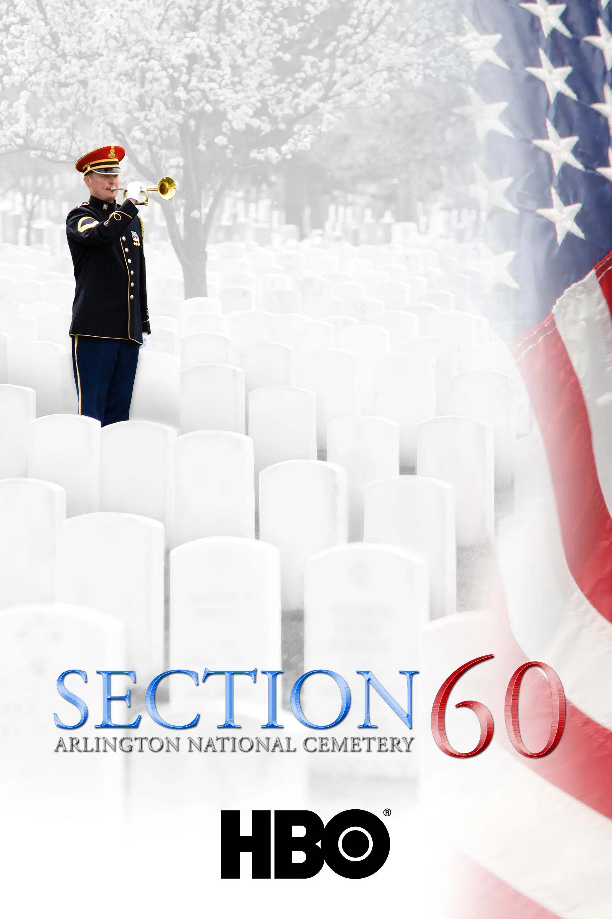 Poster chính thức của phim Phim Truyền Hình, Phim Tài Liệu "Khu Vực 60: Nghĩa Trang Quốc Gia Arlington" (Section 60: Arlington National Cemetery - 2008).