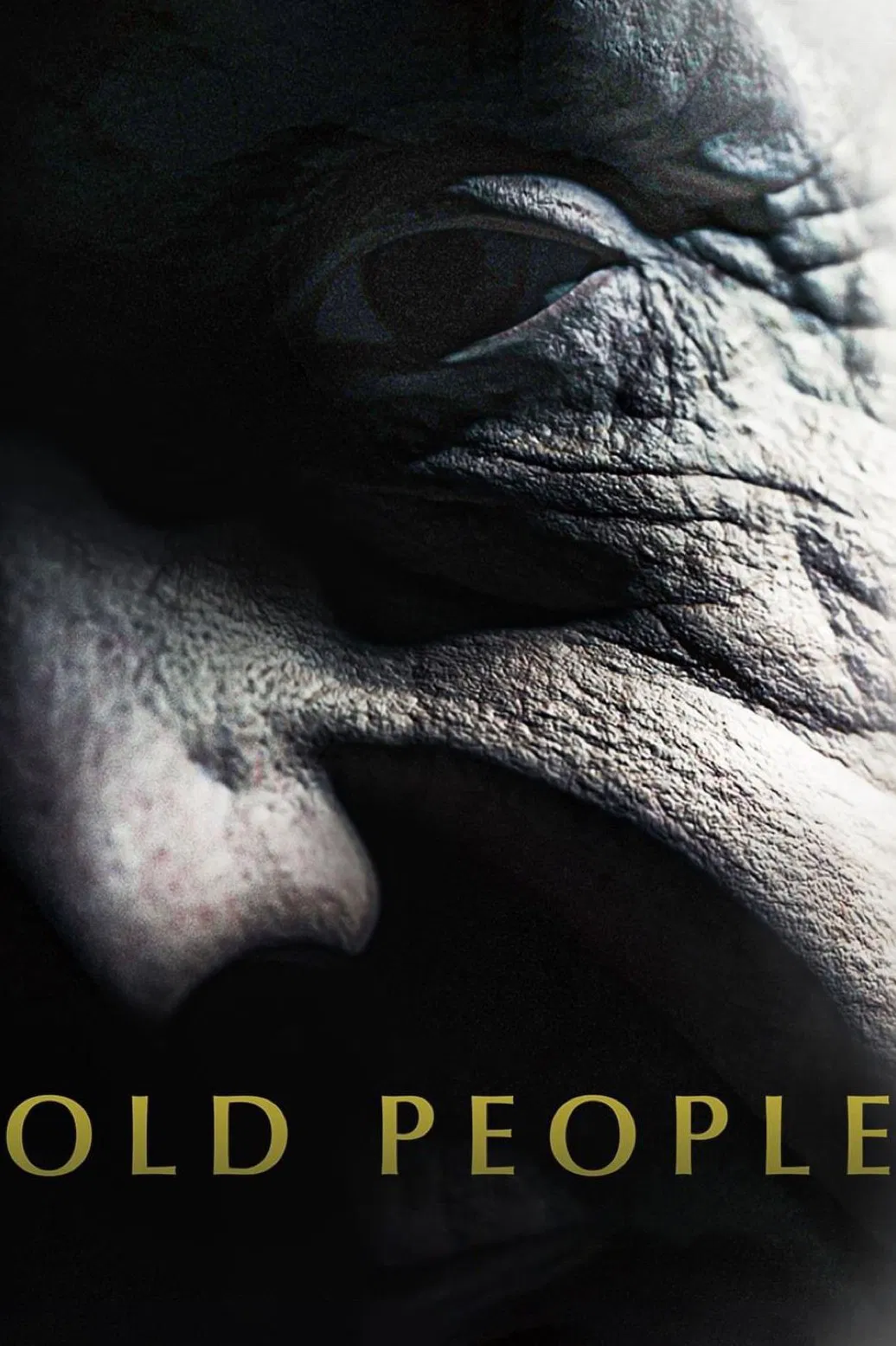 Poster chính thức của phim Phim Kinh Dị "Làng Lão Niên" (Old People - 2022), với sự tham gia của diễn viên Melika Foroutan và Stephan Luca.