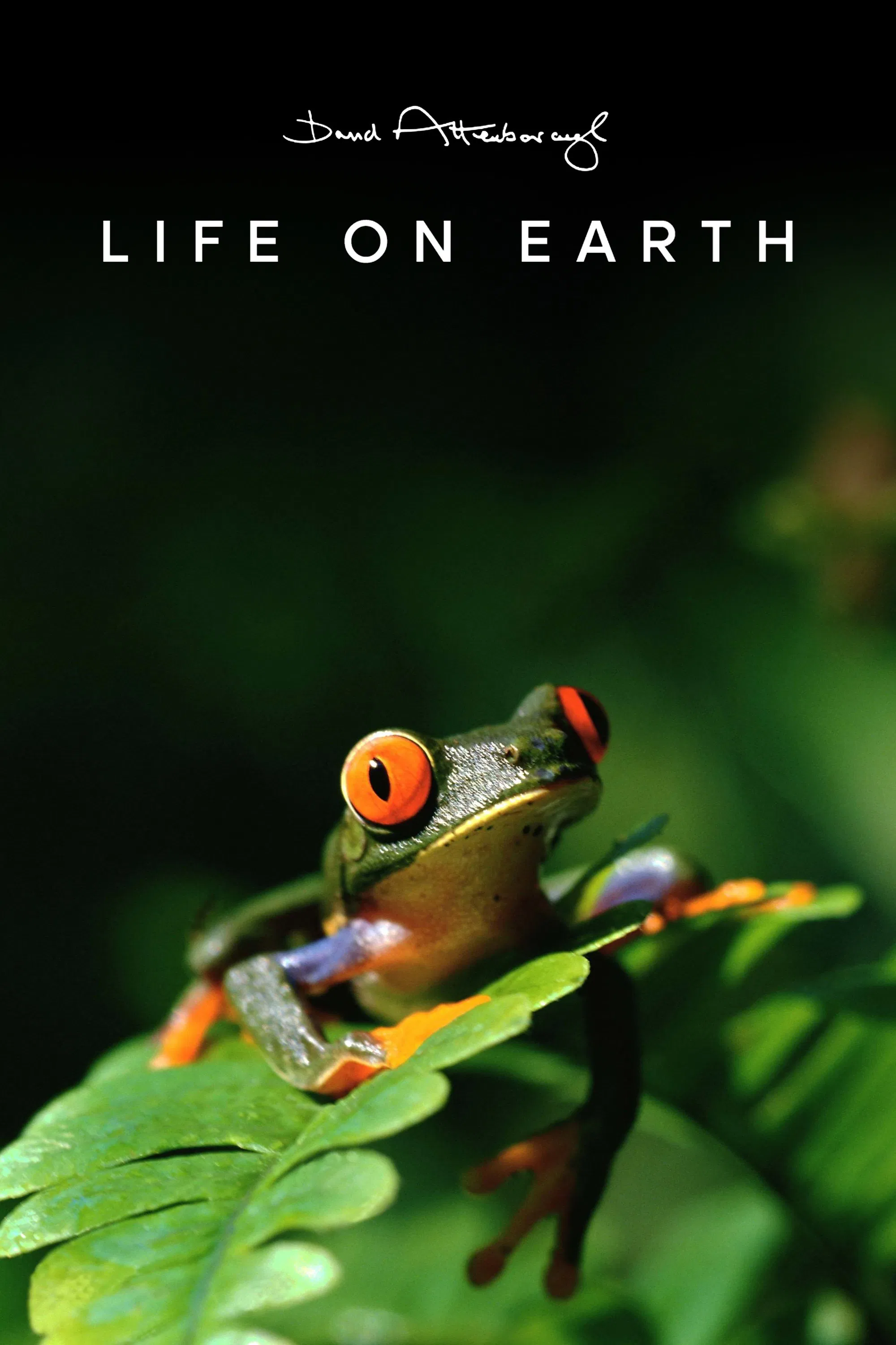 Poster chính thức của phim Phim Tài Liệu "Life on Earth" (Life on Earth - 1979), với sự tham gia của diễn viên David Attenborough.
