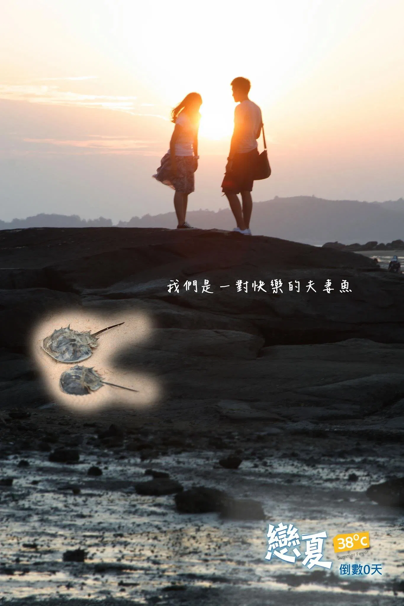 Poster chính thức của phim Phim Tâm Lý "Luyến Hạ 38 Độ" (戀夏38℃ - 2012), với sự tham gia của diễn viên Hồ Vũ Uy và Emma Wu.