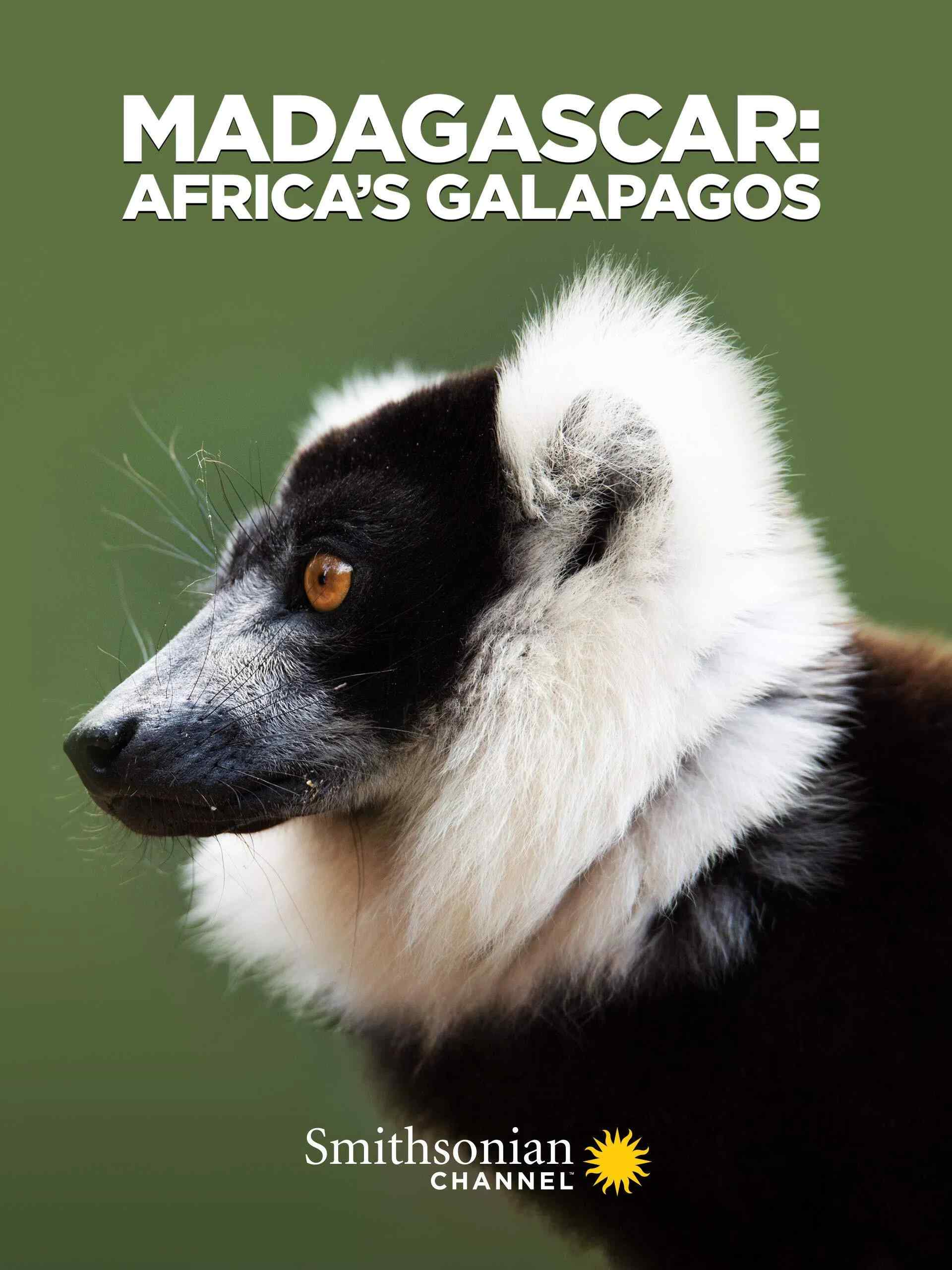 Poster chính thức của phim Phim Tài Liệu, Phim Truyền Hình "Madagascar: Africa's Galapagos" (Madagascar: Africa's Galapagos - 2019).