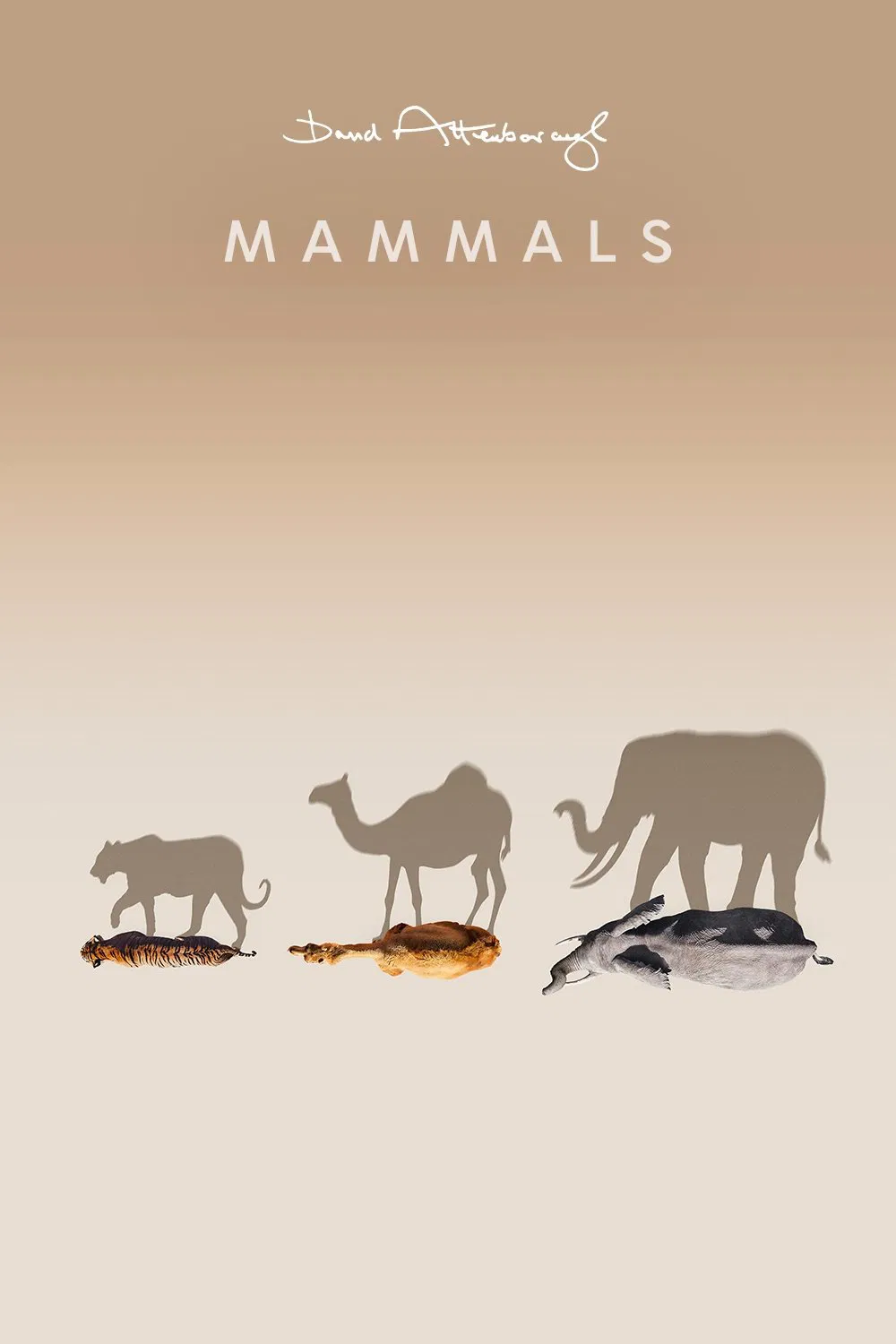 Poster chính thức của phim Phim Tài Liệu "Mammals (2024)" (Mammals - 2024), với sự tham gia của diễn viên David Attenborough.