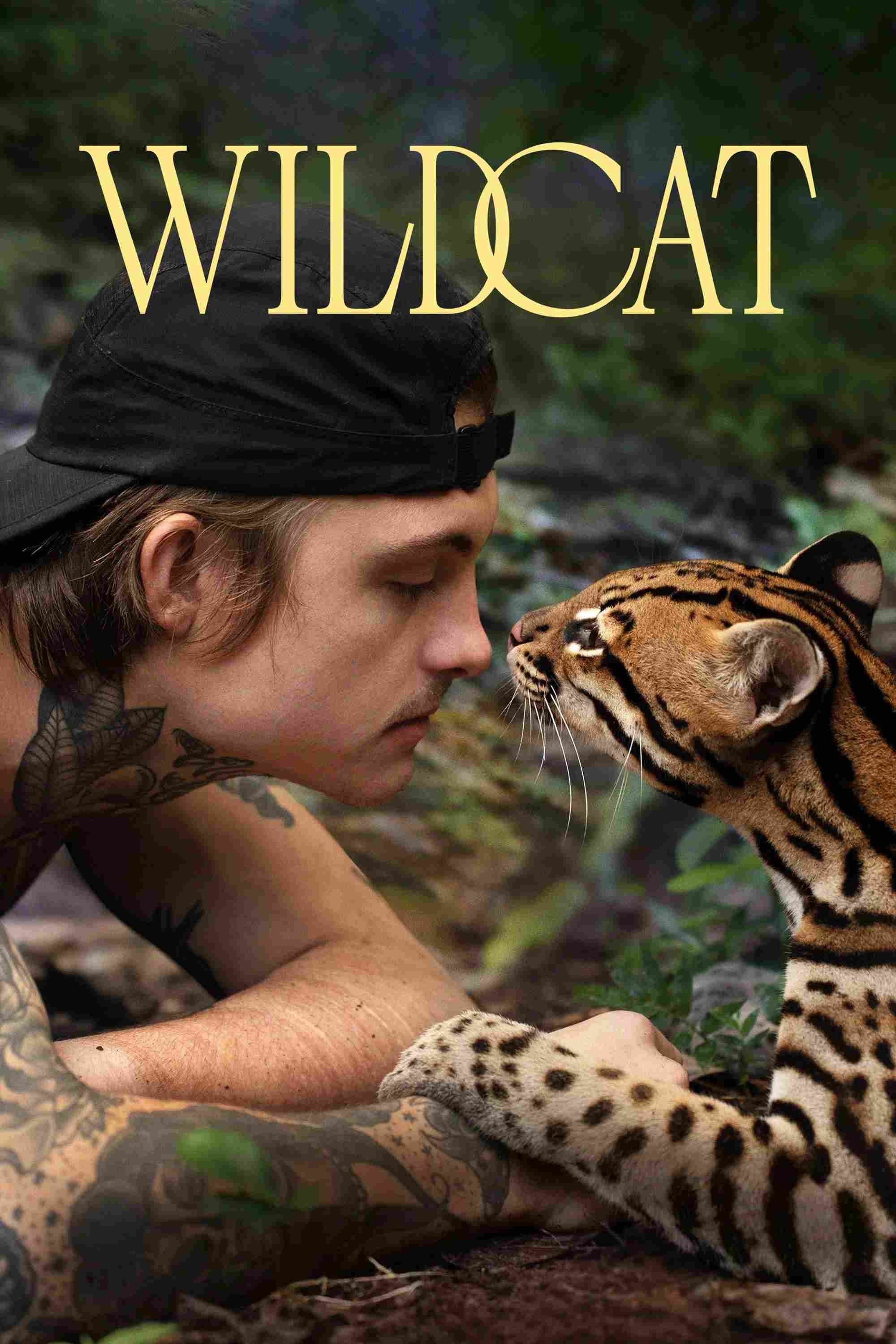 Poster chính thức của phim Phim Tài Liệu "Mèo Hoang" (Wildcat - 2022).