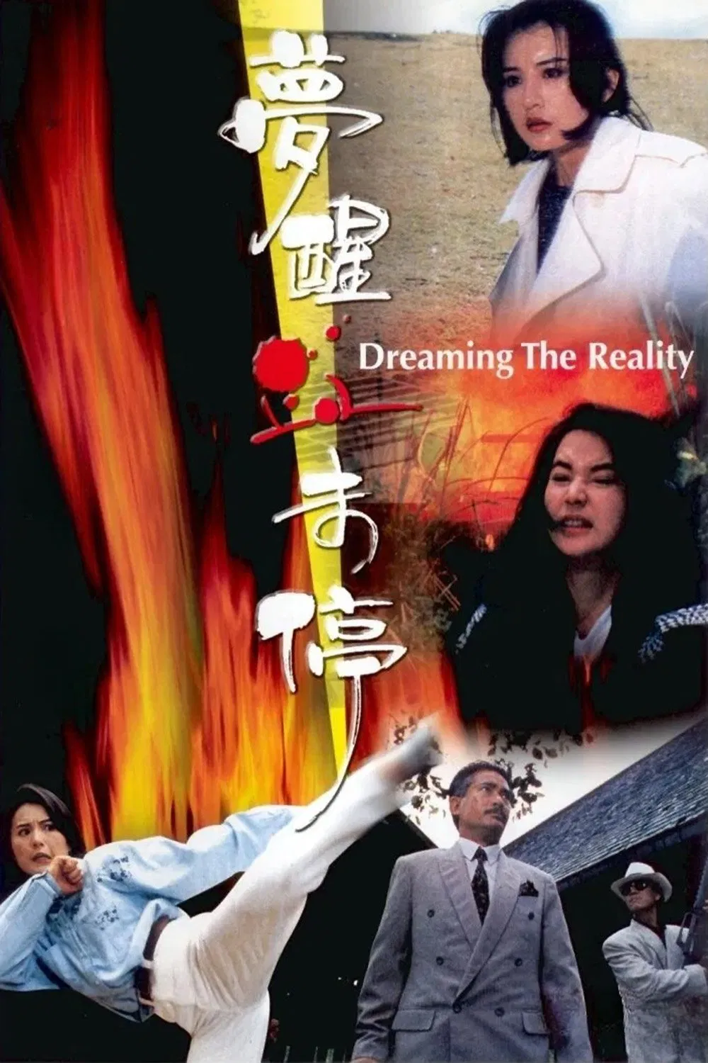 Poster chính thức của phim Phim Hành Động, Phim Hình Sự "Mộng Tỉnh Huyết Vị Đình" (Dreaming the Reality - 1991), với sự tham gia của diễn viên Lý Thái Phụng và Sibelle Hu Hui-Chung.