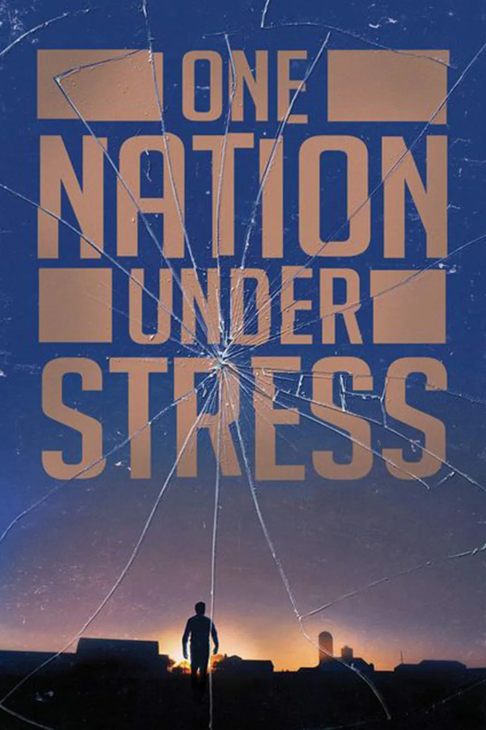 Poster chính thức của phim Phim Tài Liệu "Một Quốc Gia Chịu Căng Thẳng" (One Nation Under Stress - 2019), với sự tham gia của diễn viên Sanjay Gupta.